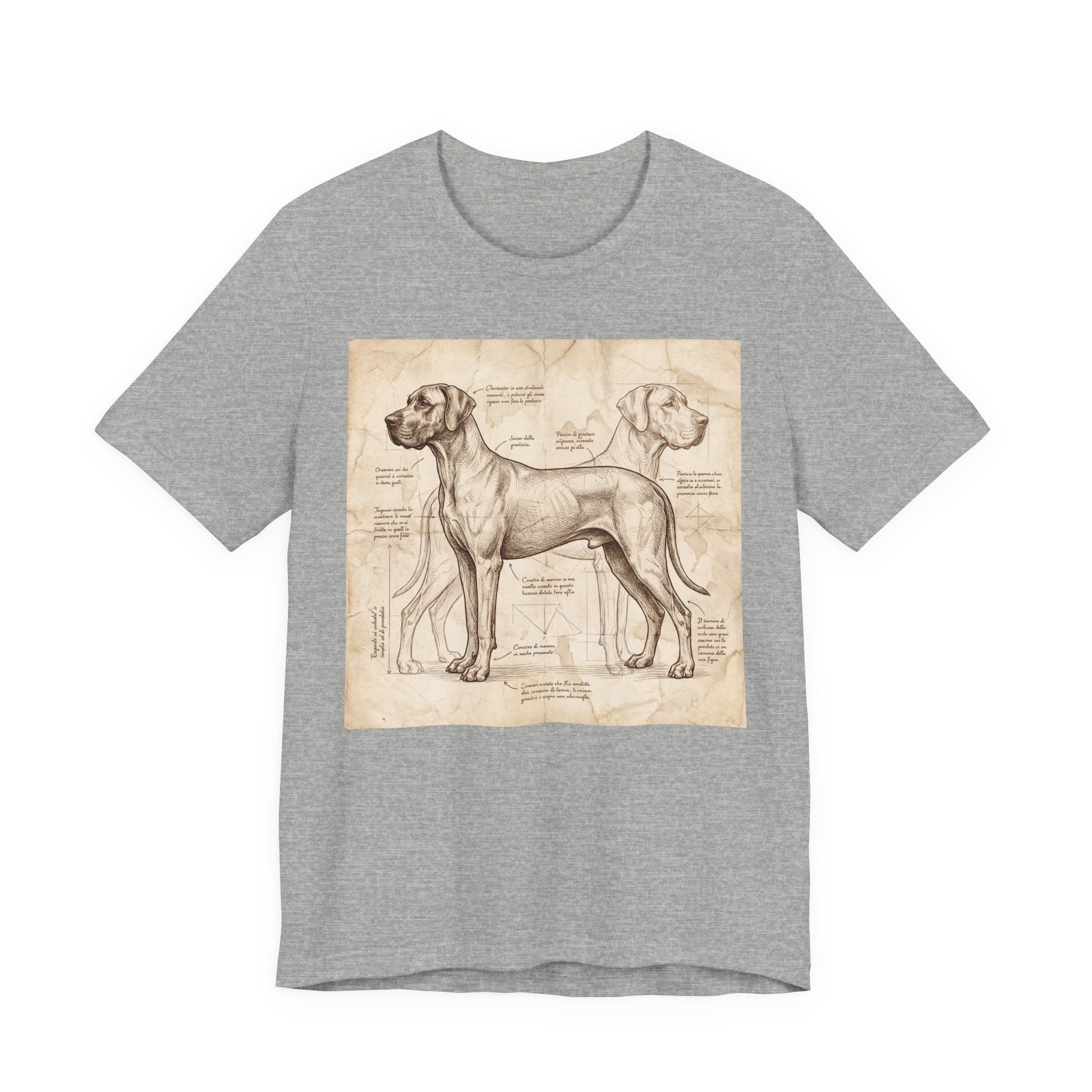 Da Vinci Style Great Dane T-Shirt — Anatomical Blueprint Art Print