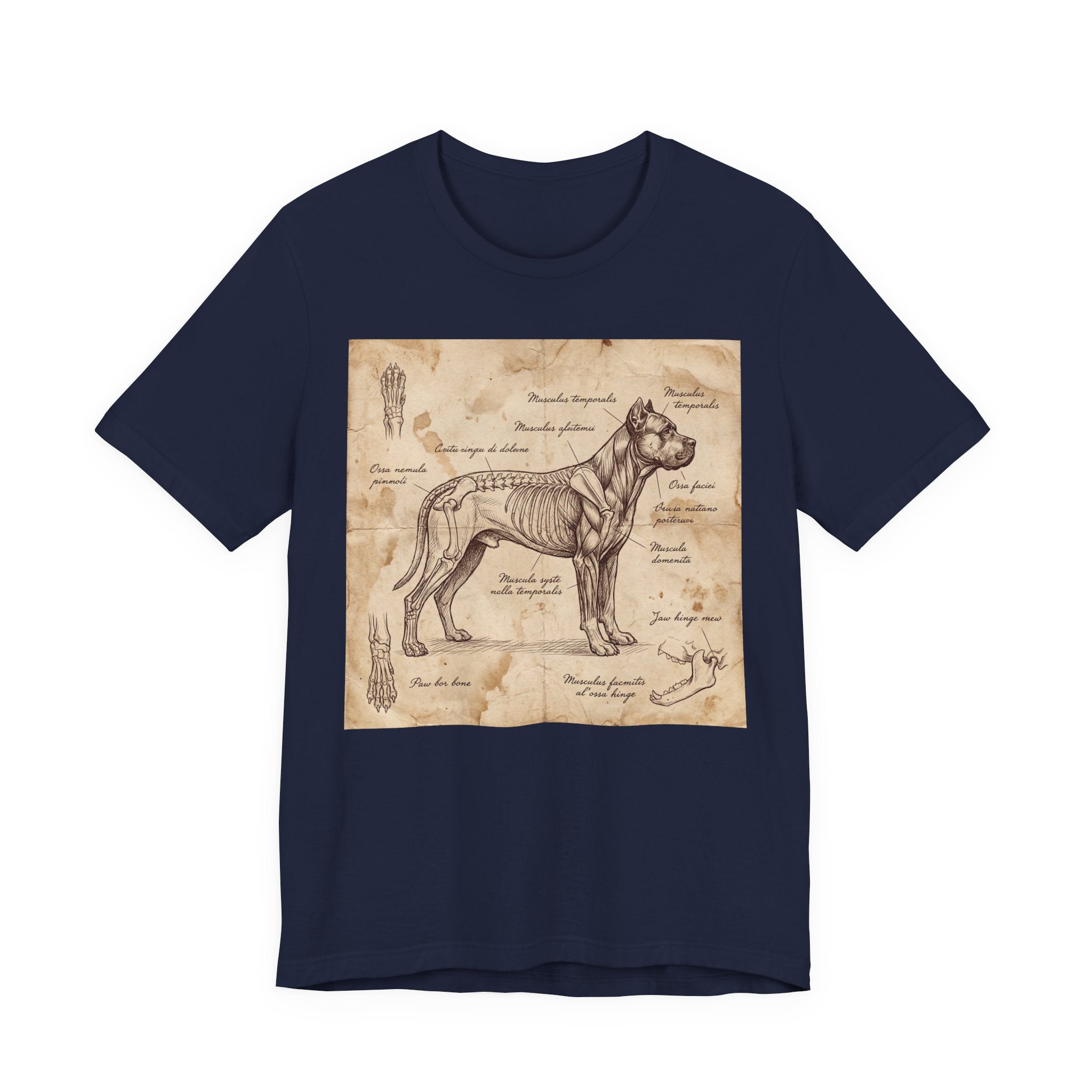 Da Vinci Style Cane Corso T-Shirt — Anatomical Parchment Art Print
