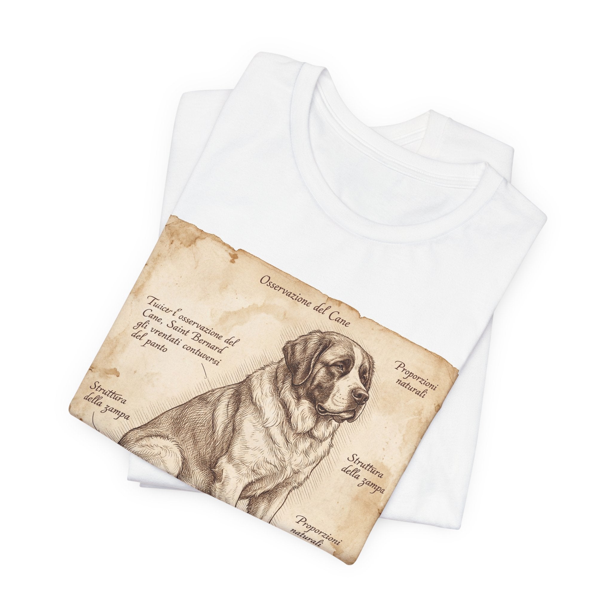 Anatomical Study Saint Bernard T-Shirt — Aged Parchment Art Print