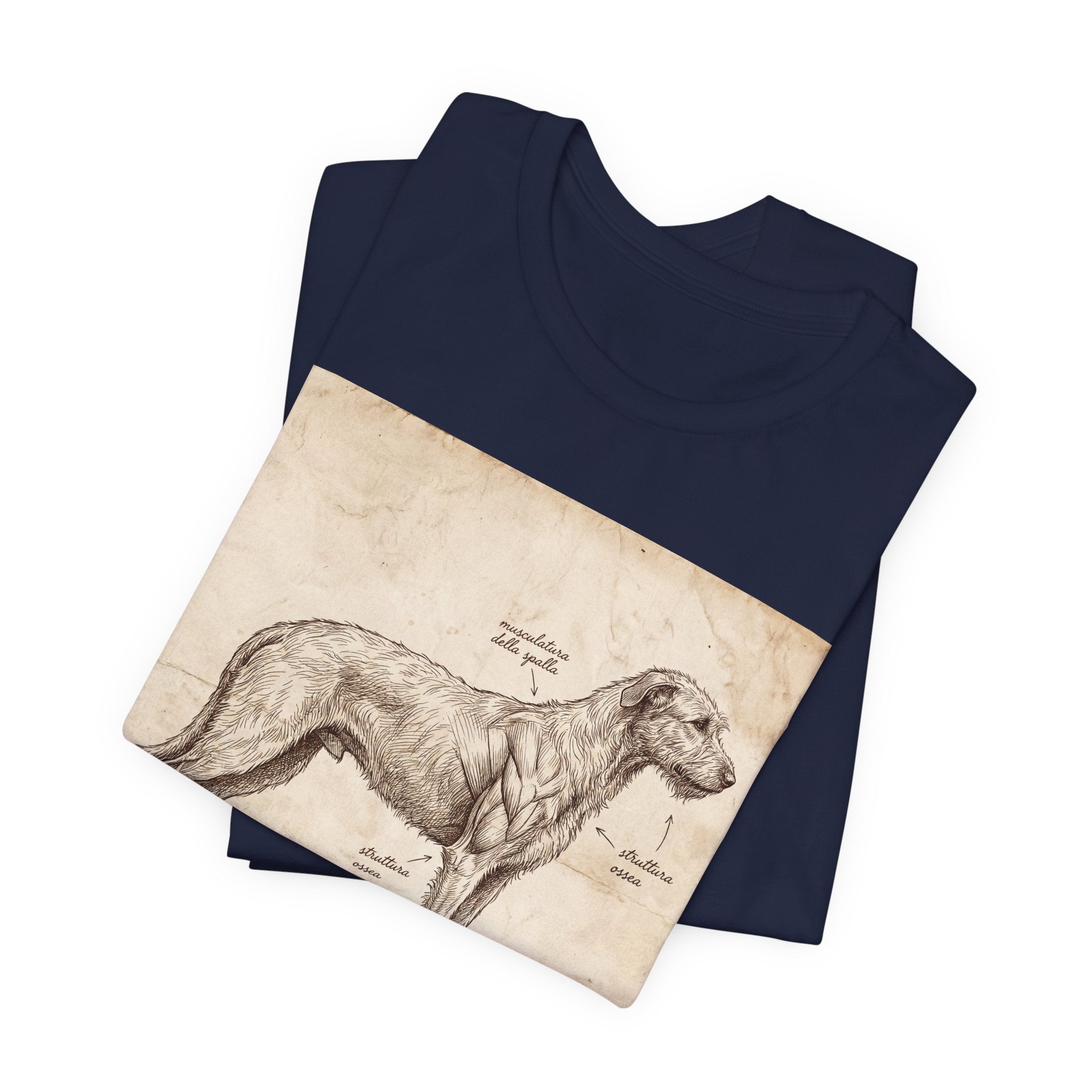 Anatomical Irish Wolfhound T-Shirt — Aged Parchment Sketch Art Print