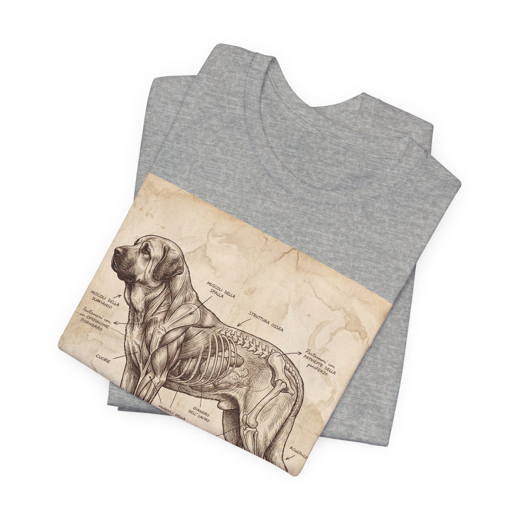 Da Vinci Style Spanish Mastiff T-Shirt — Anatomical Parchment Art Print