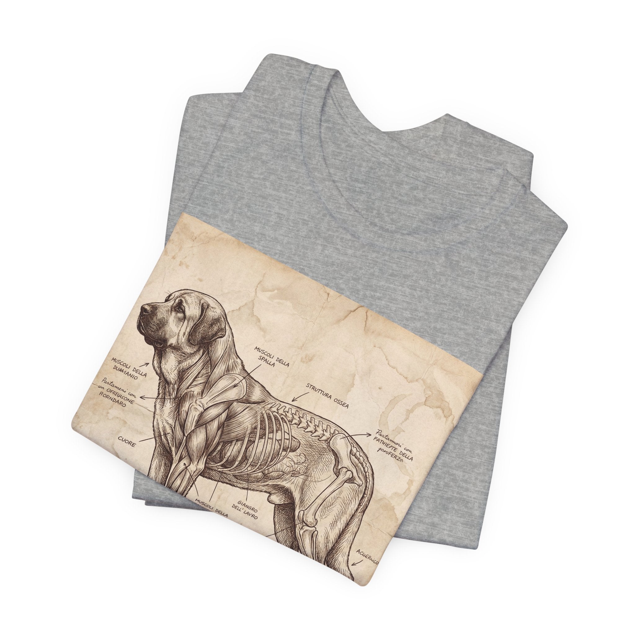 Da Vinci Style Spanish Mastiff T-Shirt — Anatomical Parchment Art Print