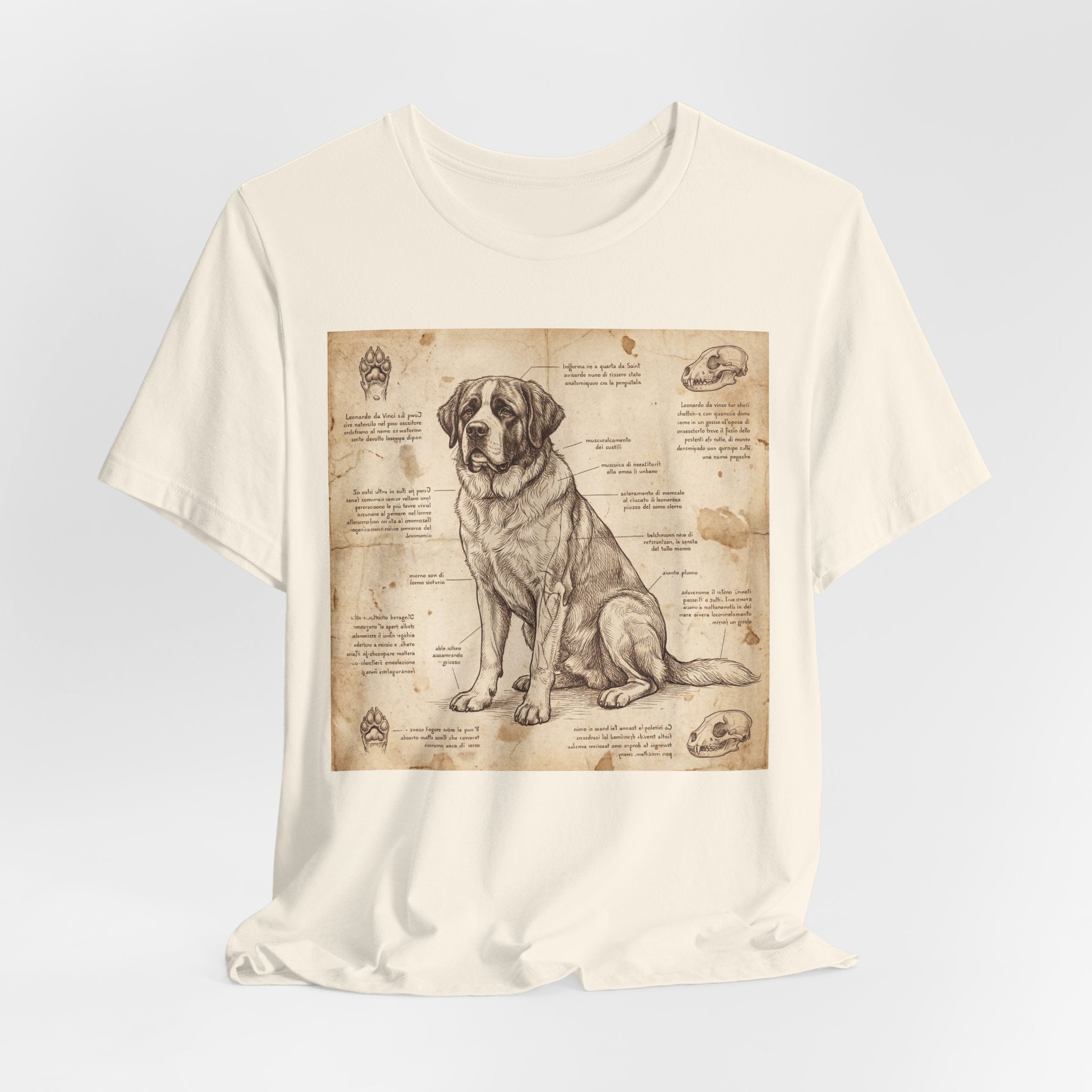 Da Vinci Style Saint Bernard T-Shirt — Anatomical Blueprint Art Print