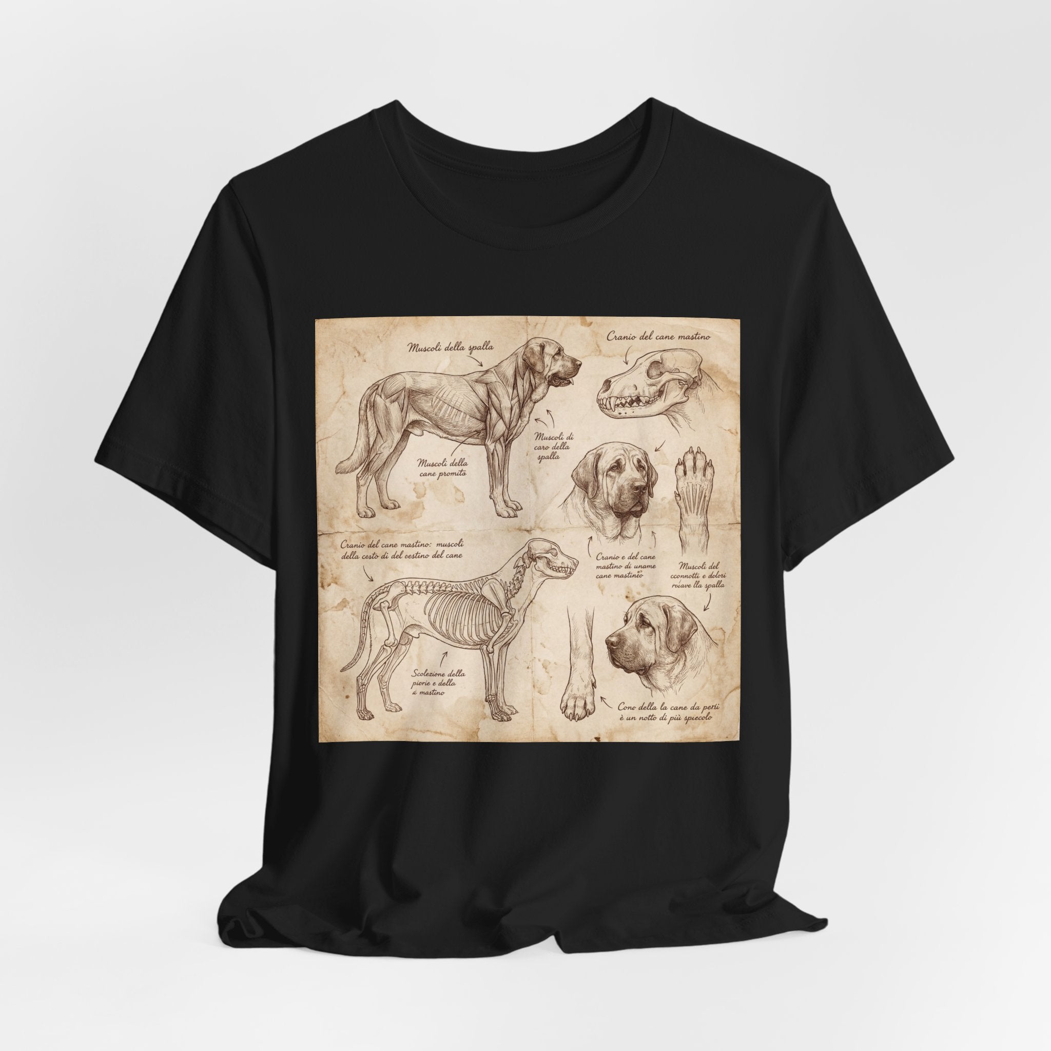Da Vinci Style Mastiff T-Shirt — Anatomical Study Sepia Art Print