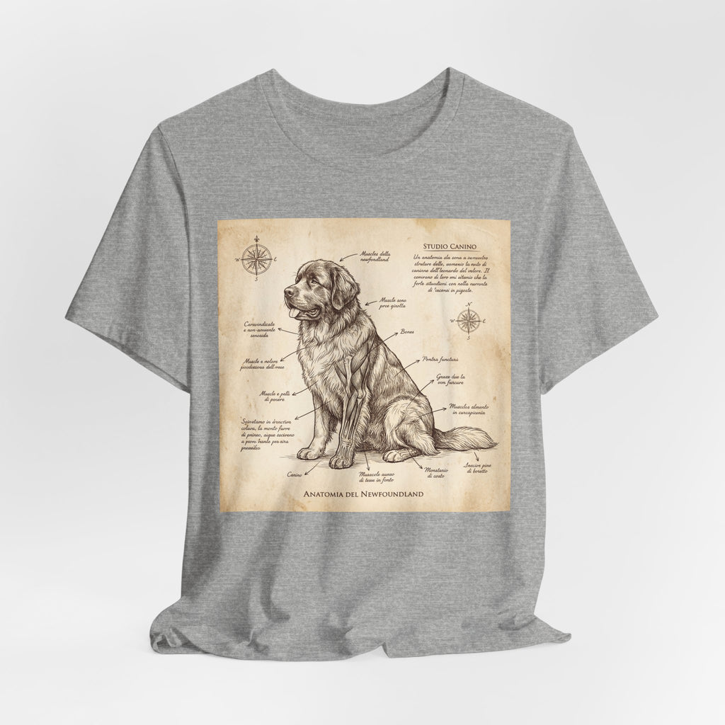 Da Vinci Style Newfoundland T-Shirt — Sepia Anatomical Study Art Print