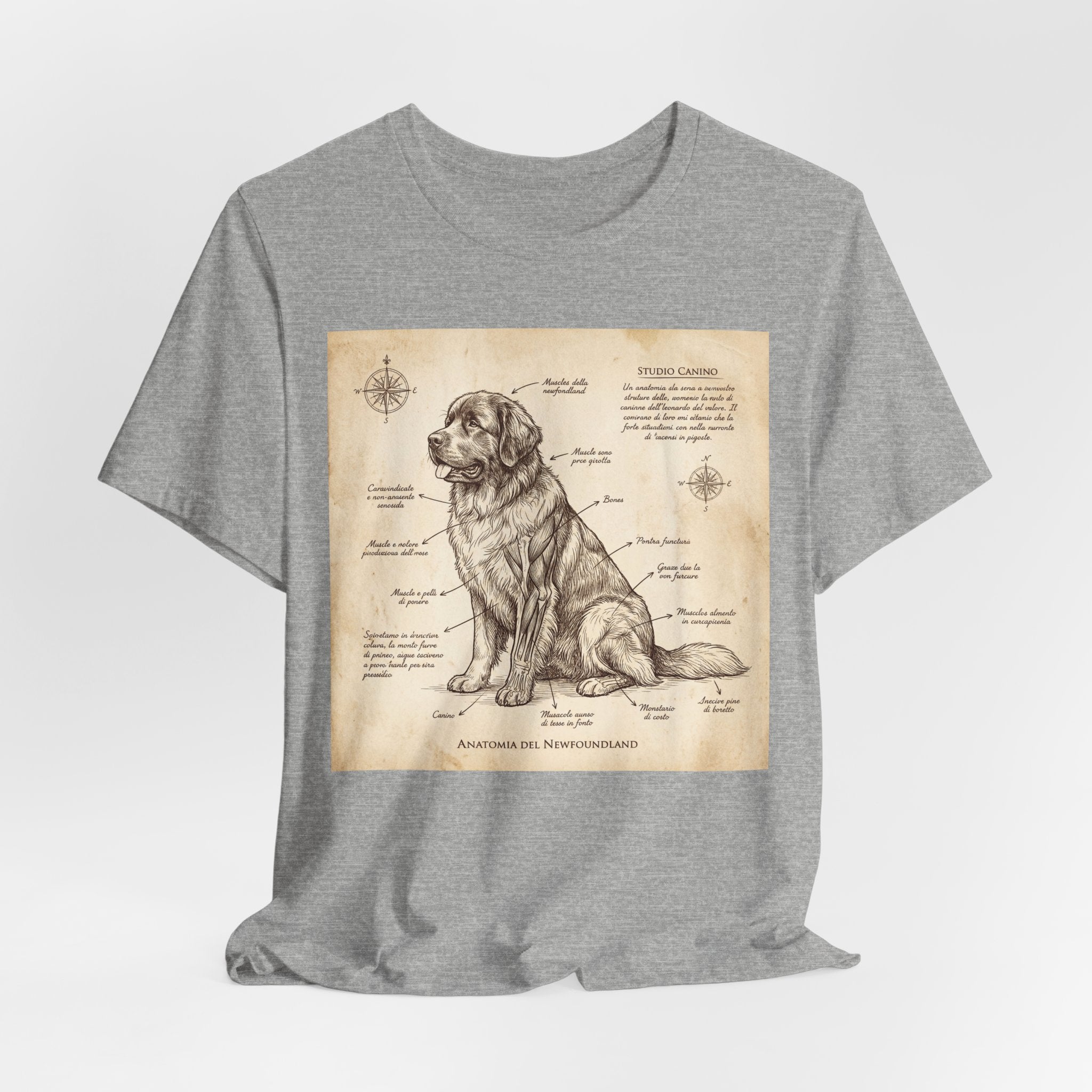Da Vinci Style Newfoundland T-Shirt — Sepia Anatomical Study Art Print