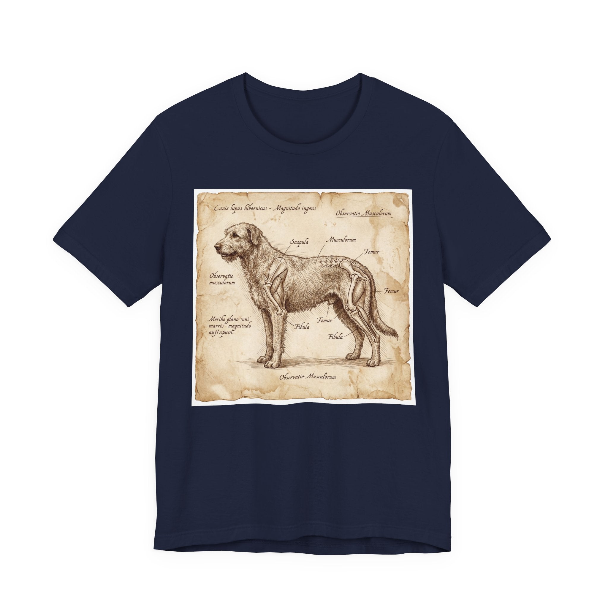 Da Vinci Style Irish Wolfhound T-Shirt — Anatomical Parchment Art Print