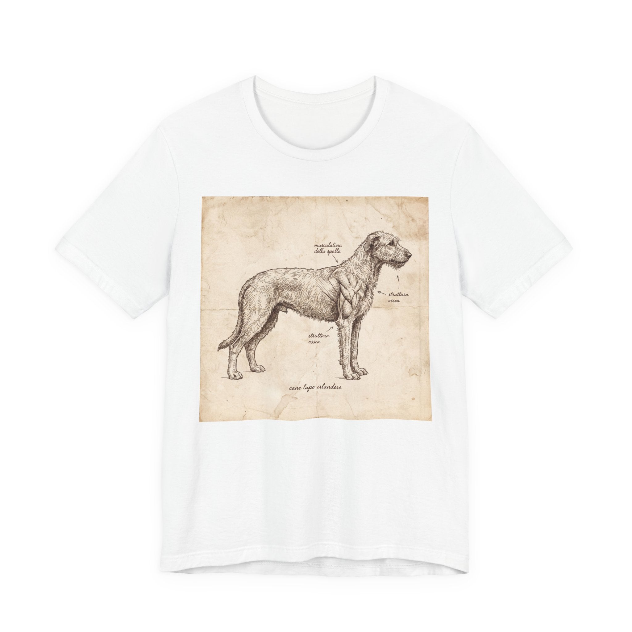 Anatomical Irish Wolfhound T-Shirt — Aged Parchment Sketch Art Print