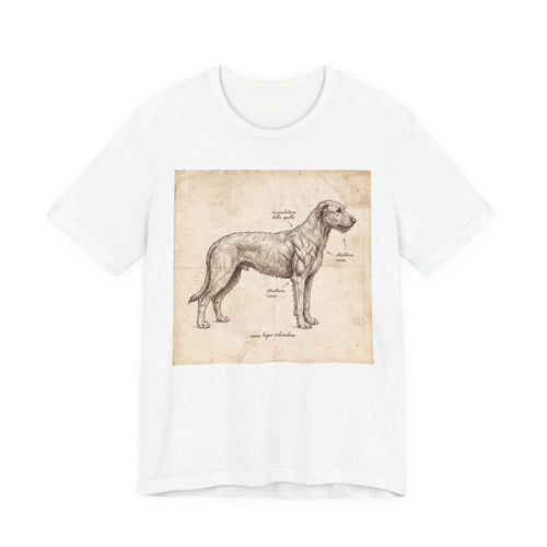 Anatomical Irish Wolfhound T-Shirt — Aged Parchment Sketch Art Print