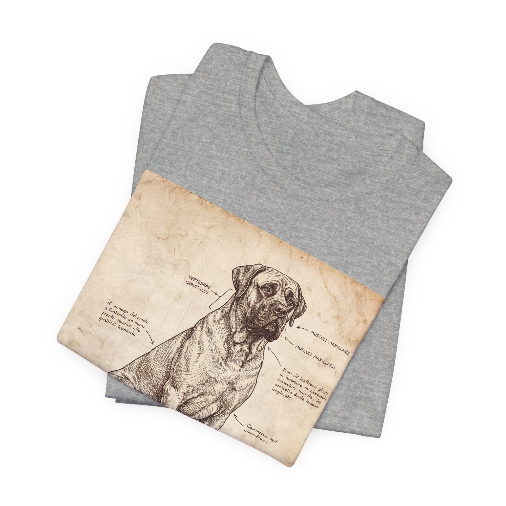 Da Vinci Style Mastiff T-Shirt — Anatomical Parchment Art Print