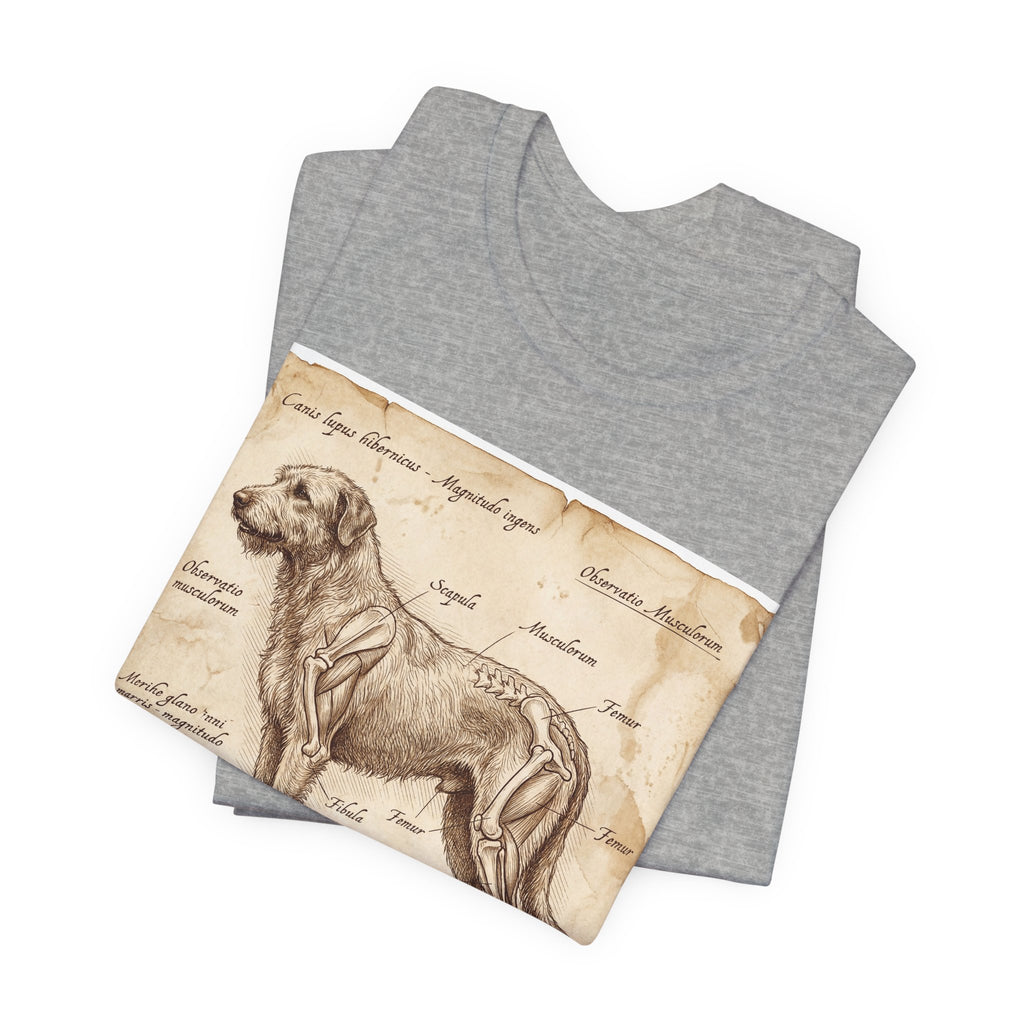 Da Vinci Style Irish Wolfhound T-Shirt — Anatomical Parchment Art Print