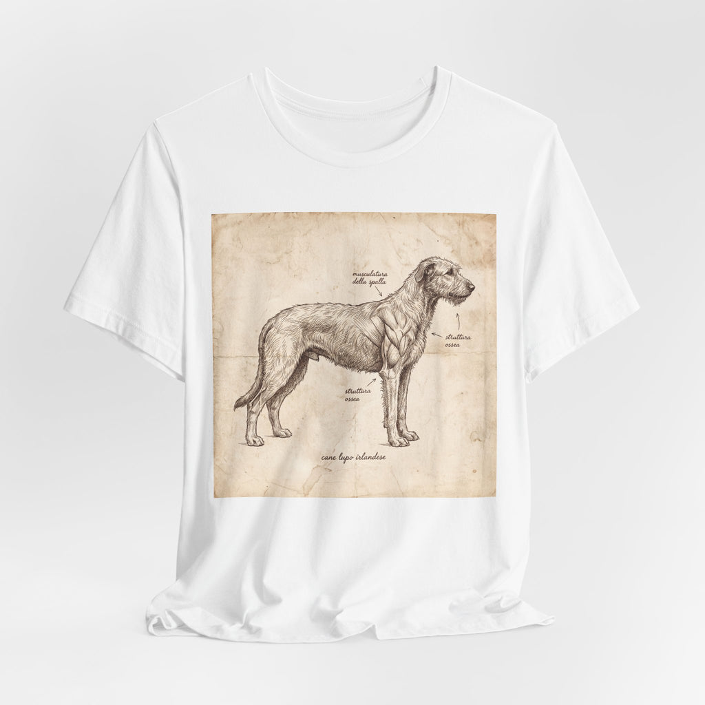Anatomical Irish Wolfhound T-Shirt — Aged Parchment Sketch Art Print