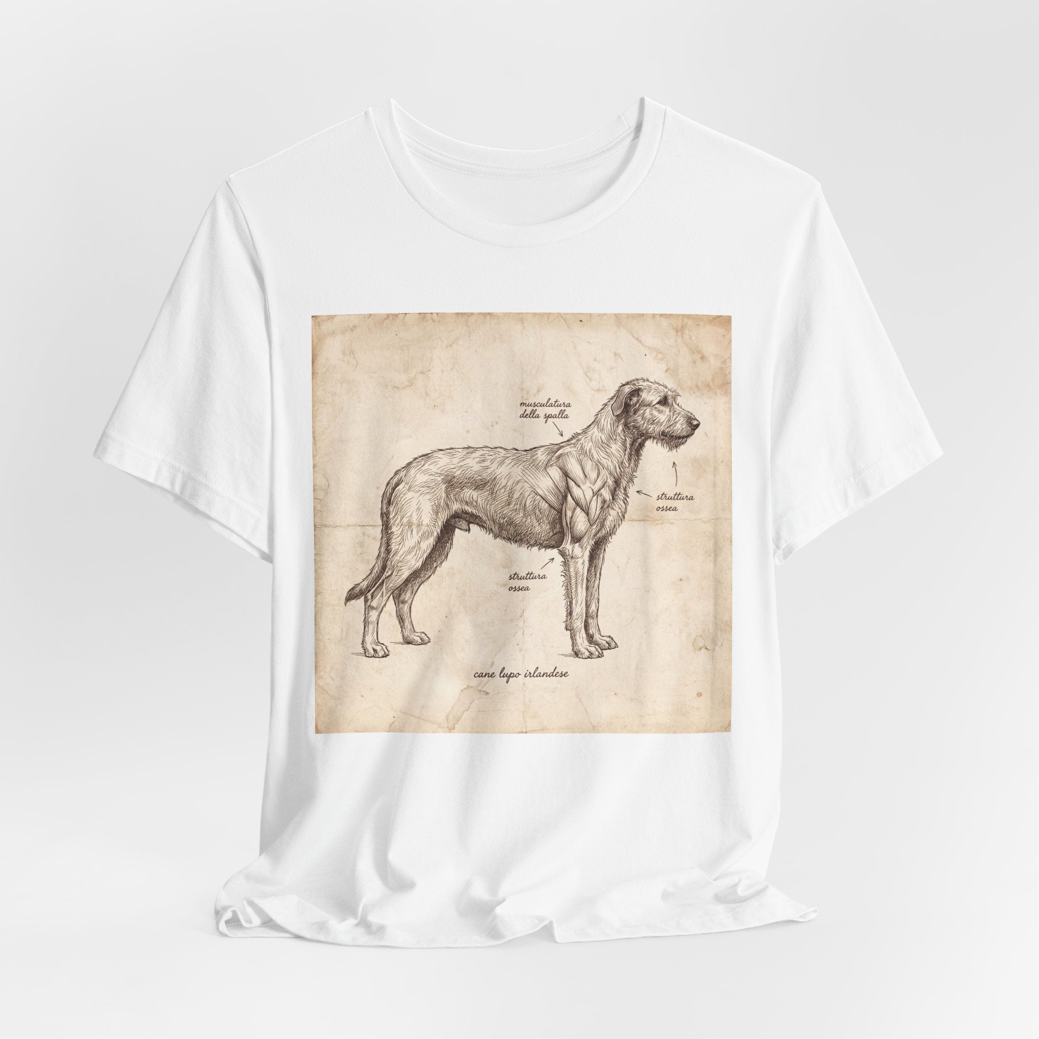 Anatomical Irish Wolfhound T-Shirt — Aged Parchment Sketch Art Print
