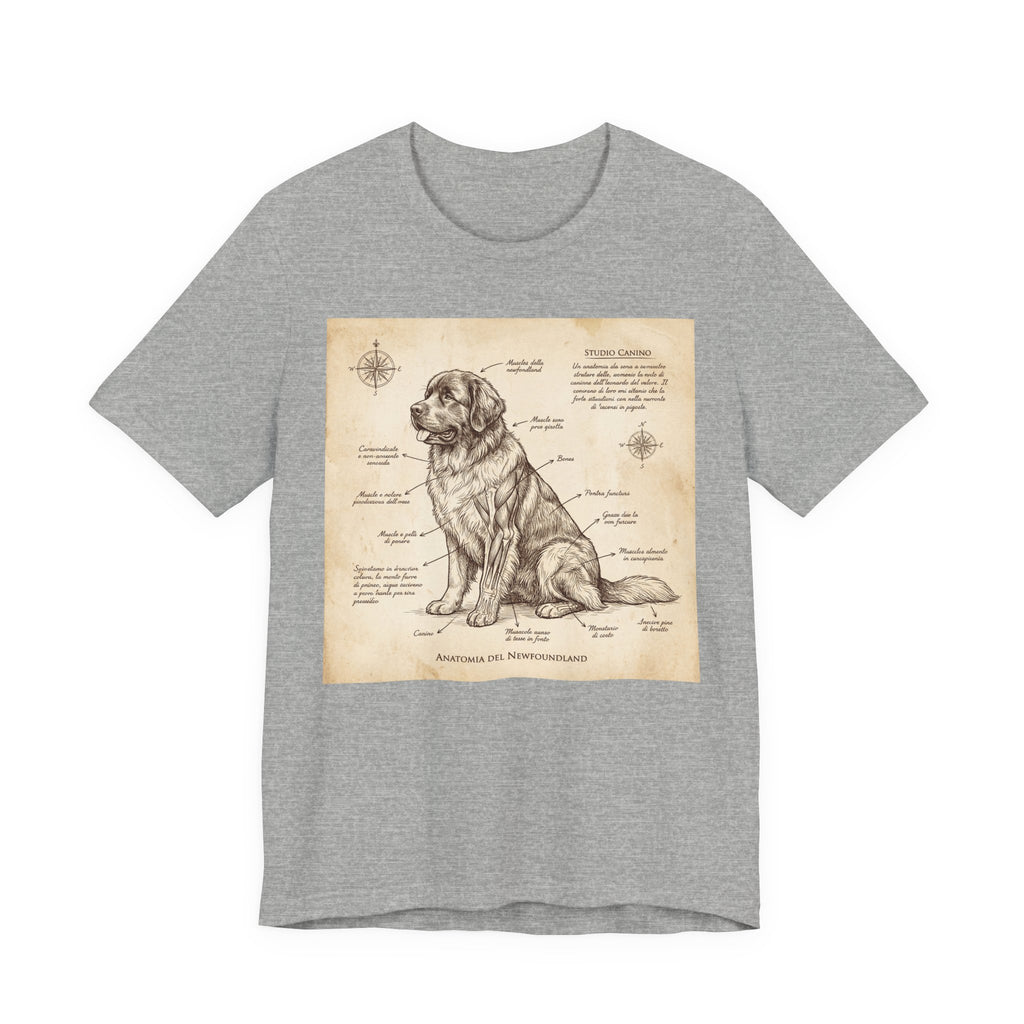 Da Vinci Style Newfoundland T-Shirt — Sepia Anatomical Study Art Print