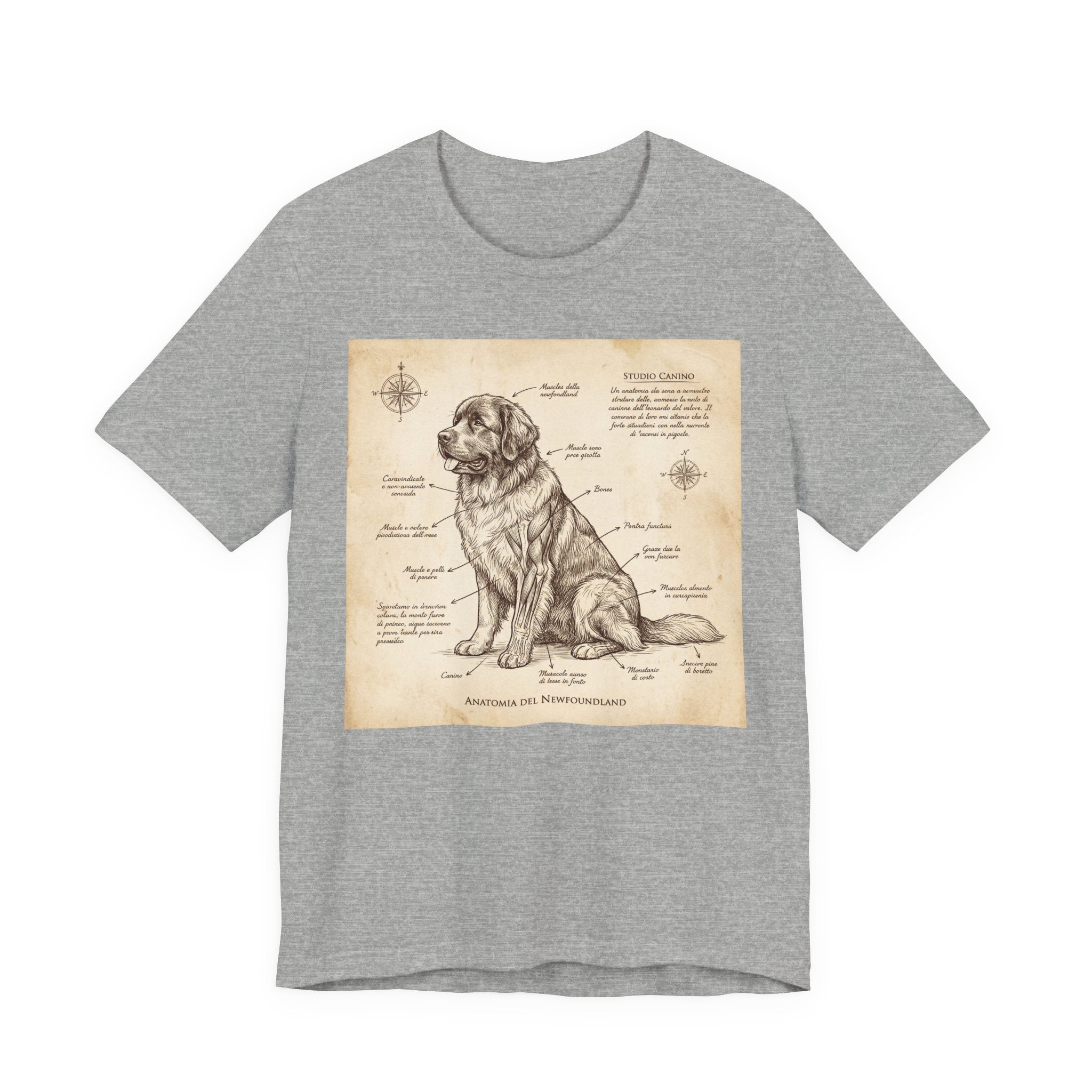 Da Vinci Style Newfoundland T-Shirt — Sepia Anatomical Study Art Print