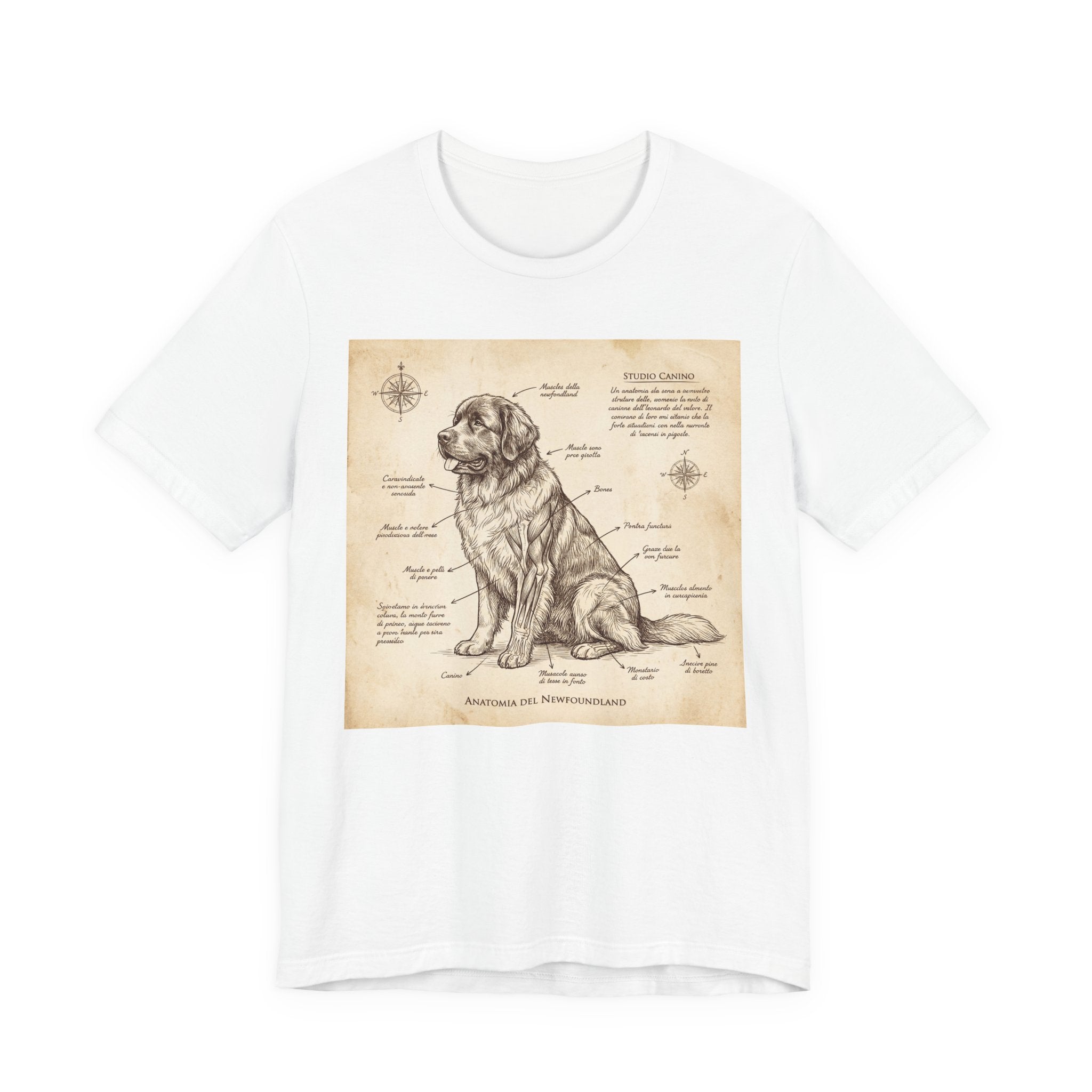 Da Vinci Style Newfoundland T-Shirt — Sepia Anatomical Study Art Print