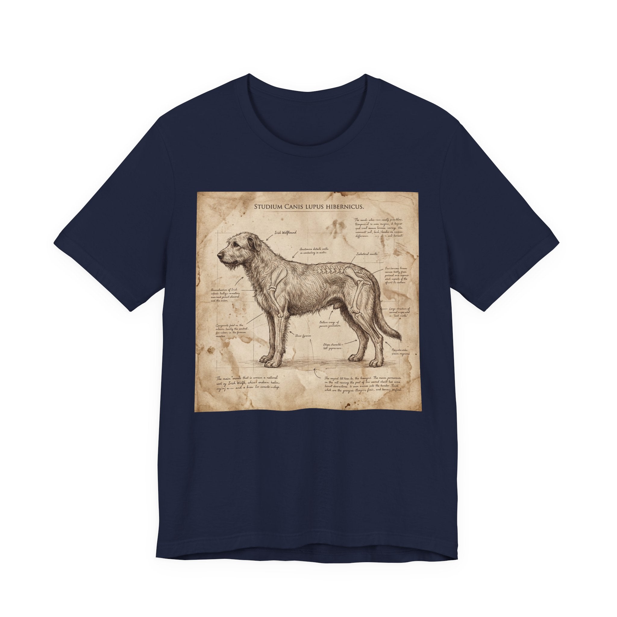 Da Vinci Study Irish Wolfhound T-Shirt — Aged Parchment Art Print