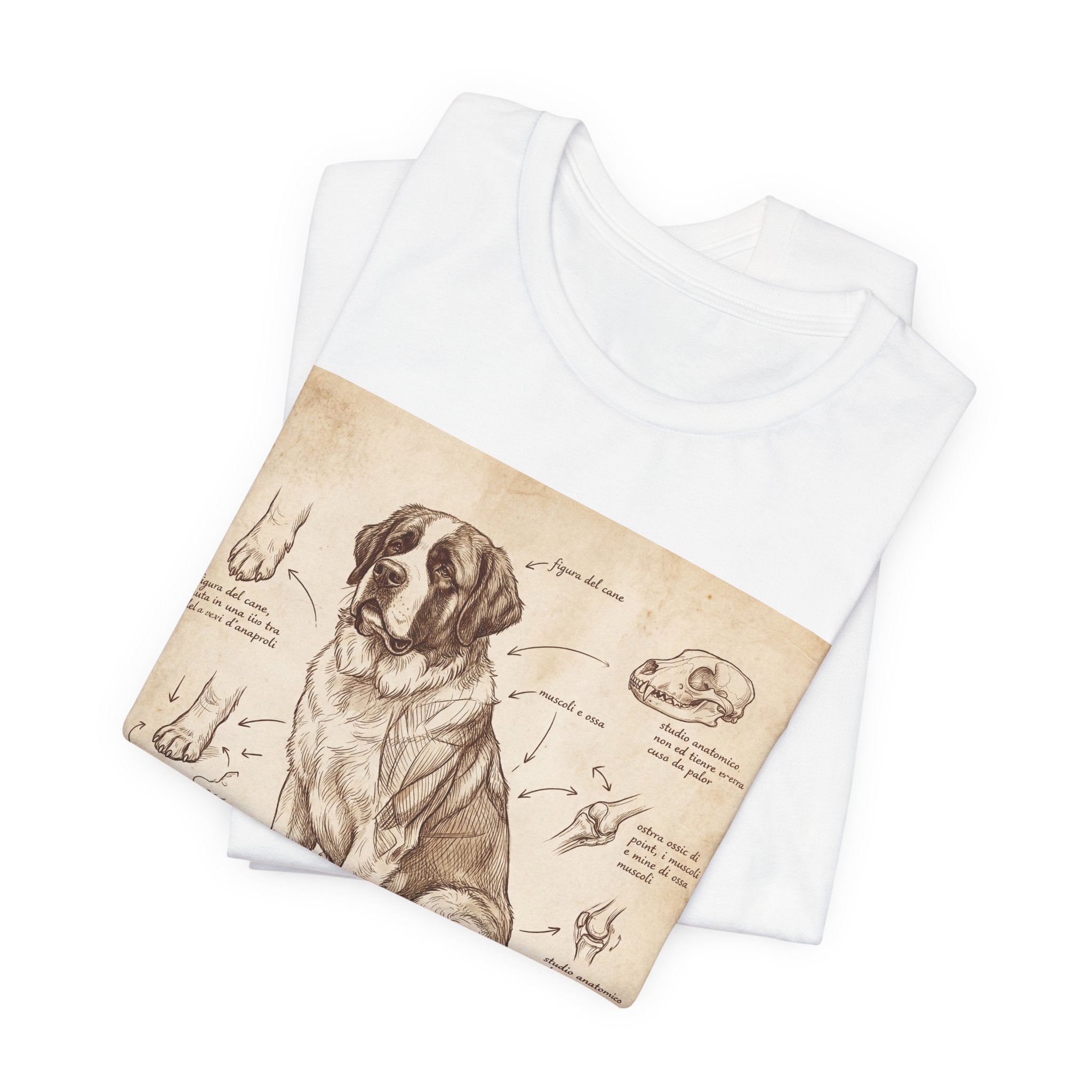 Da Vinci Style Saint Bernard T-Shirt — Anatomical Sketch Art Print