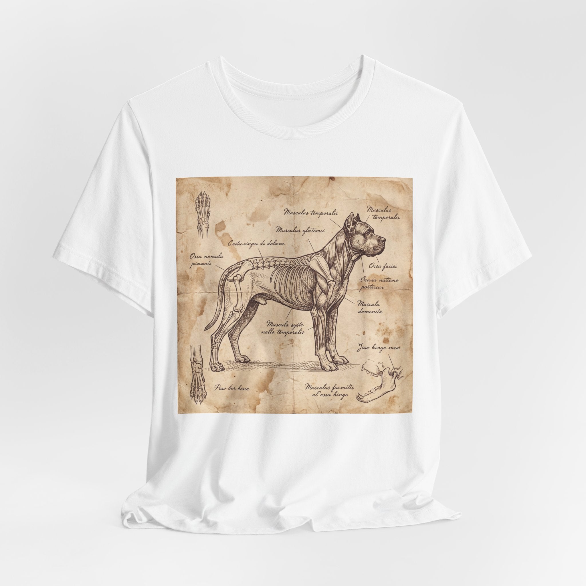 Da Vinci Style Cane Corso T-Shirt — Anatomical Parchment Art Print
