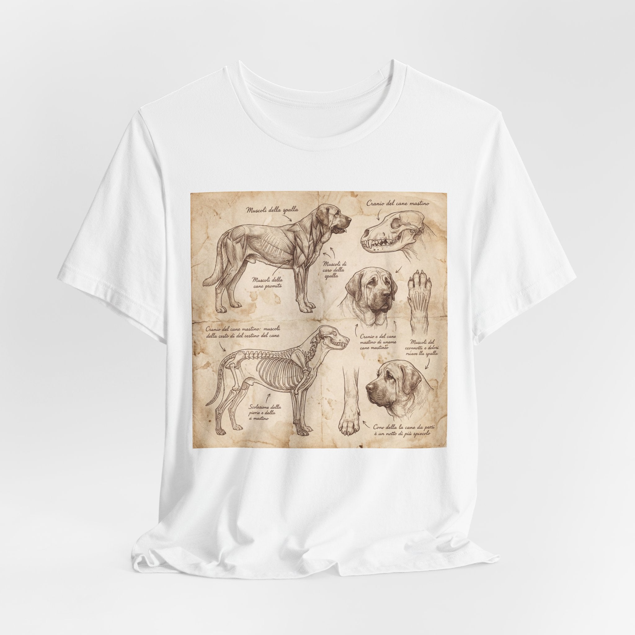 Da Vinci Style Mastiff T-Shirt — Anatomical Study Sepia Art Print