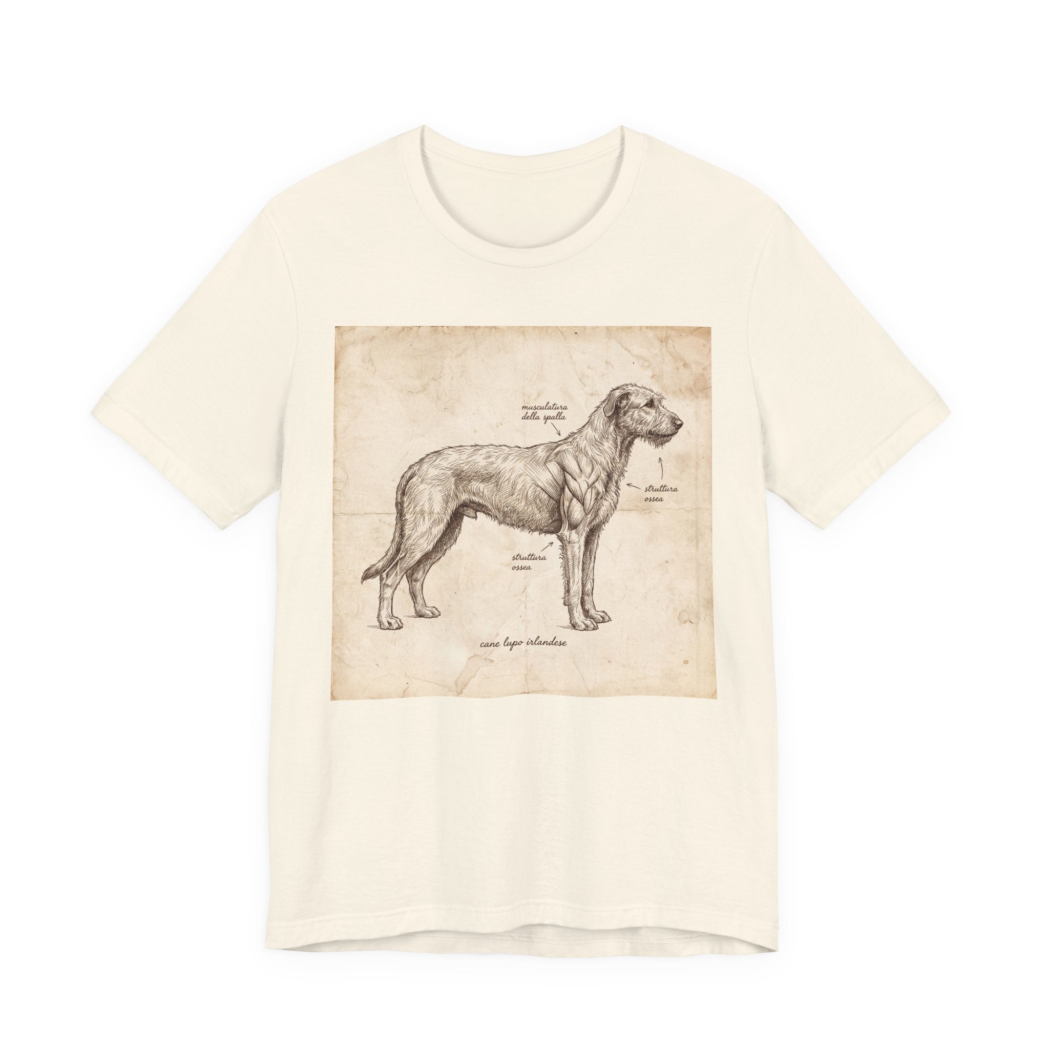 Anatomical Irish Wolfhound T-Shirt — Aged Parchment Sketch Art Print