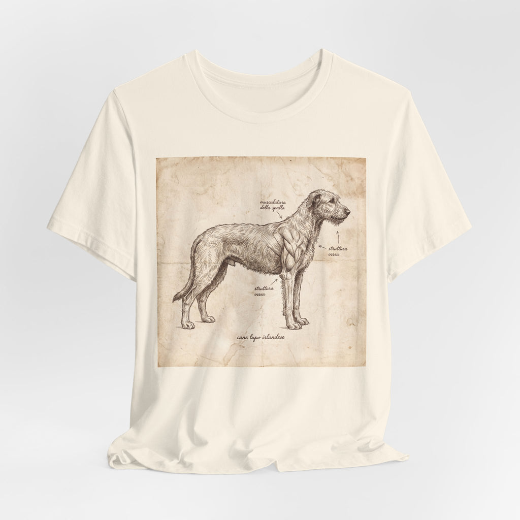 Anatomical Irish Wolfhound T-Shirt — Aged Parchment Sketch Art Print