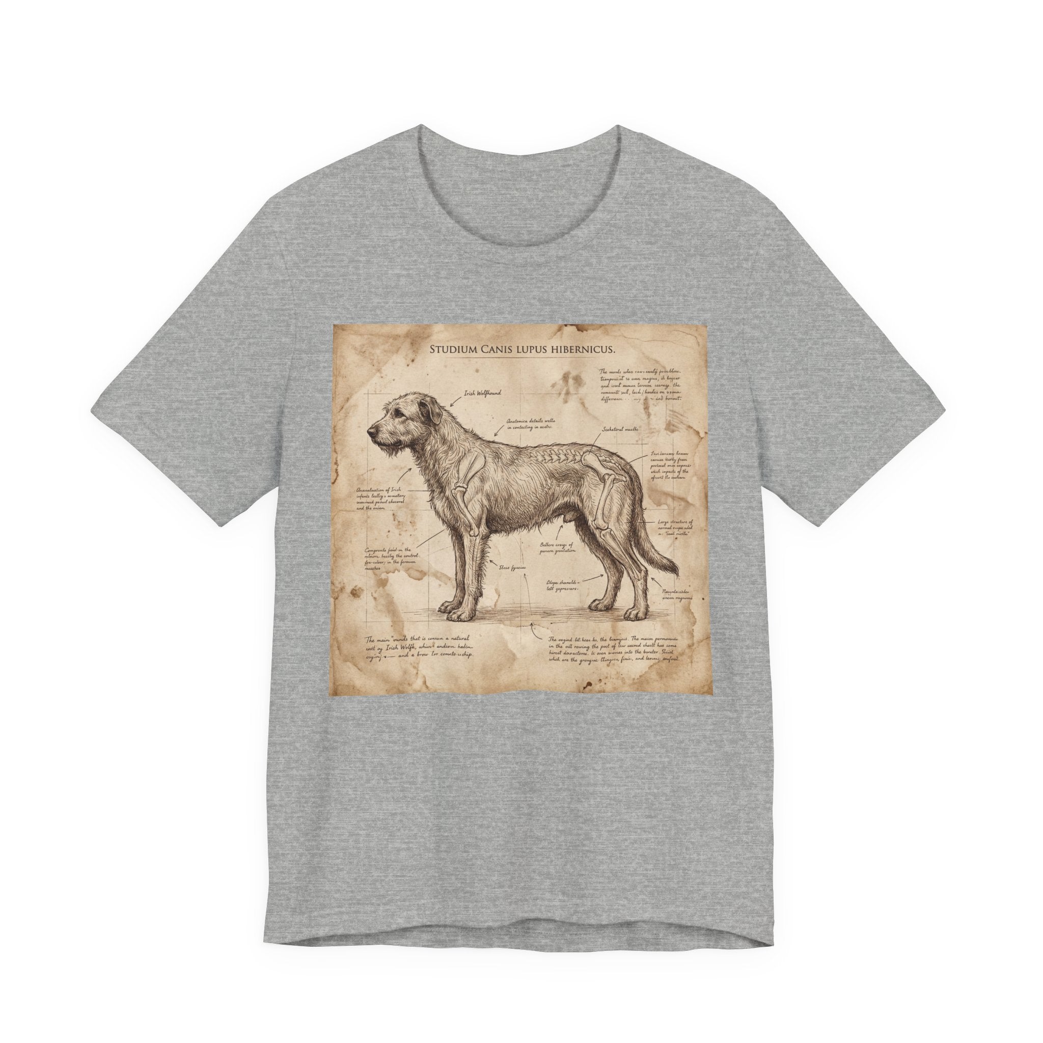 Da Vinci Study Irish Wolfhound T-Shirt — Aged Parchment Art Print