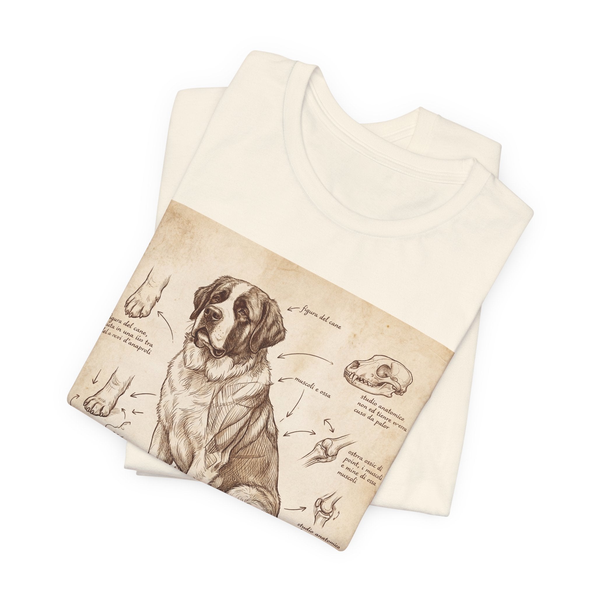 Da Vinci Style Saint Bernard T-Shirt — Anatomical Sketch Art Print