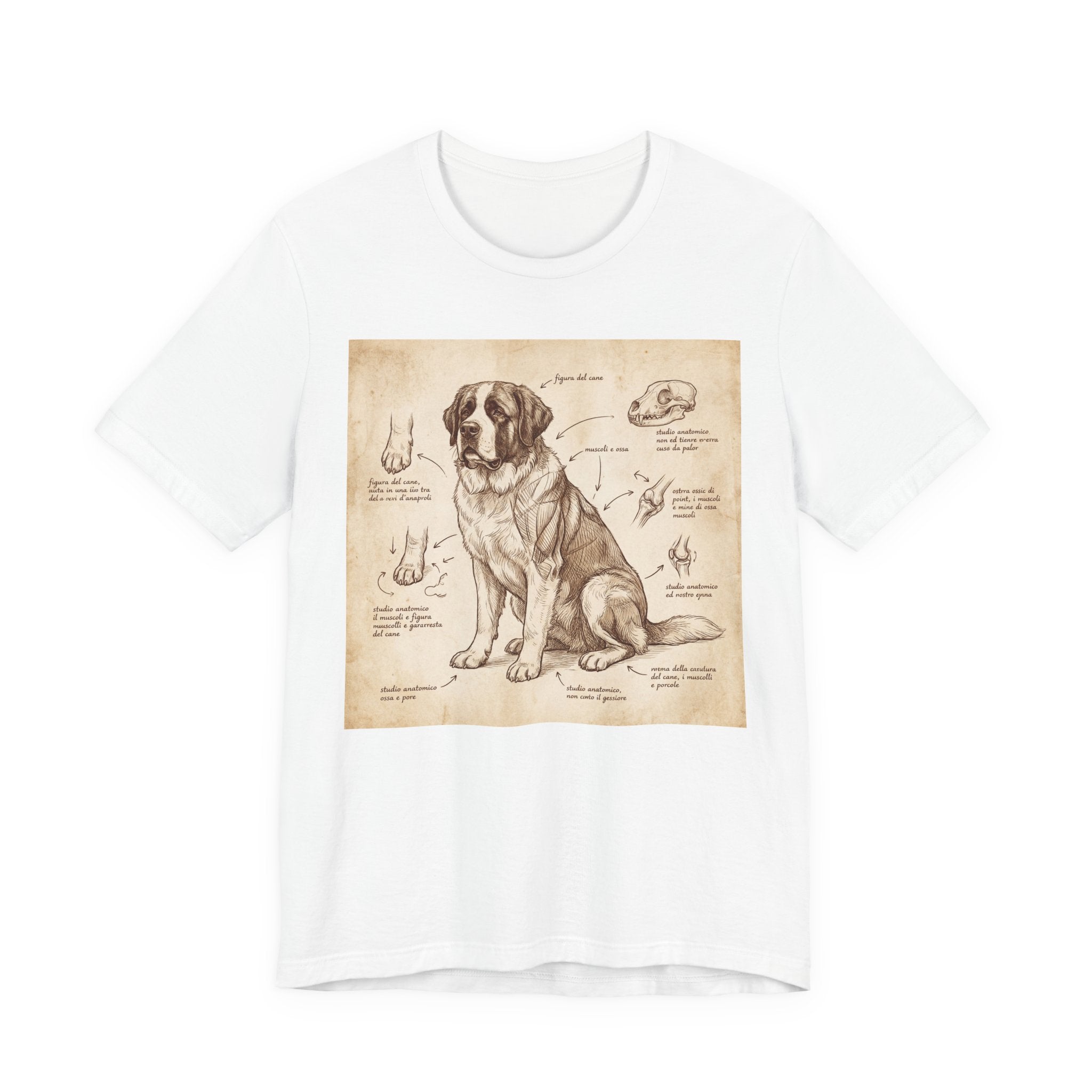 Da Vinci Style Saint Bernard T-Shirt — Anatomical Sketch Art Print