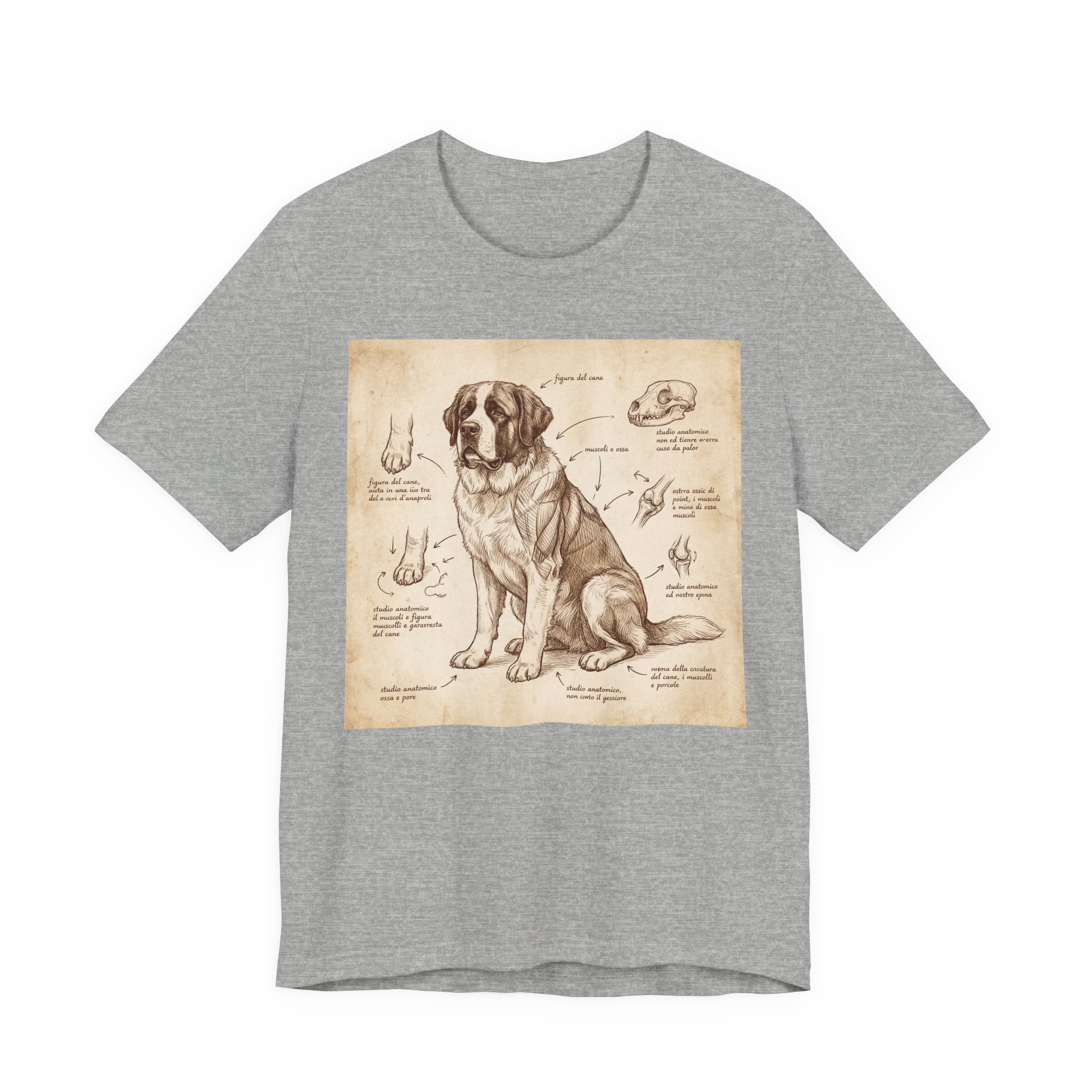 Anatomical Study Saint Bernard T-Shirt — Da Vinci Sketch Art Print