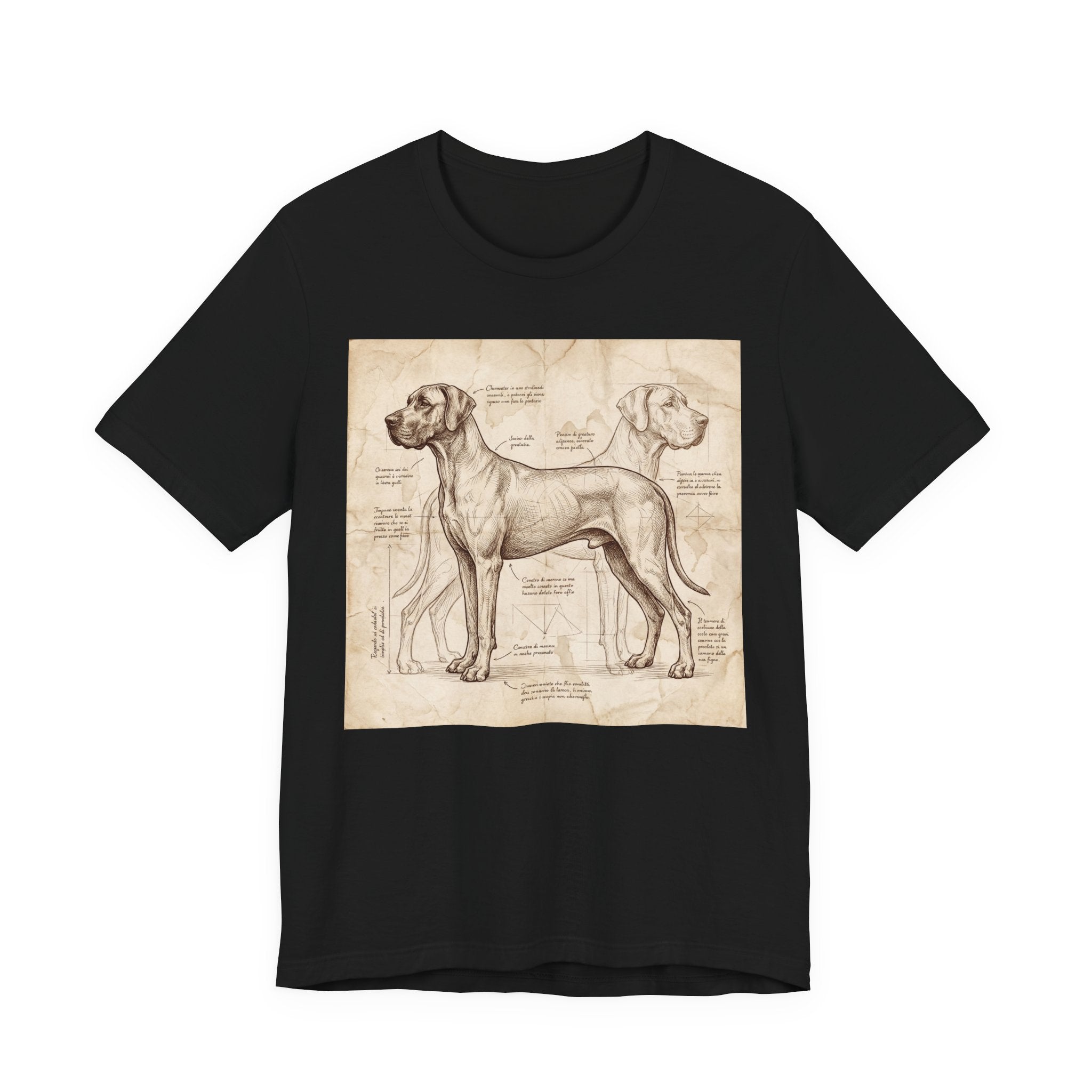 Da Vinci Style Great Dane T-Shirt — Anatomical Blueprint Art Print