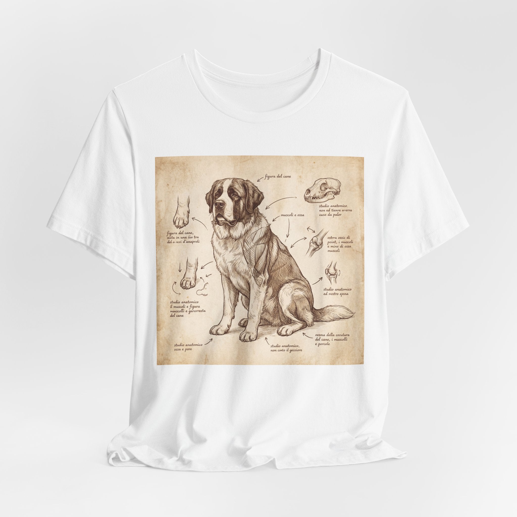 Da Vinci Style Saint Bernard T-Shirt — Anatomical Sketch Art Print