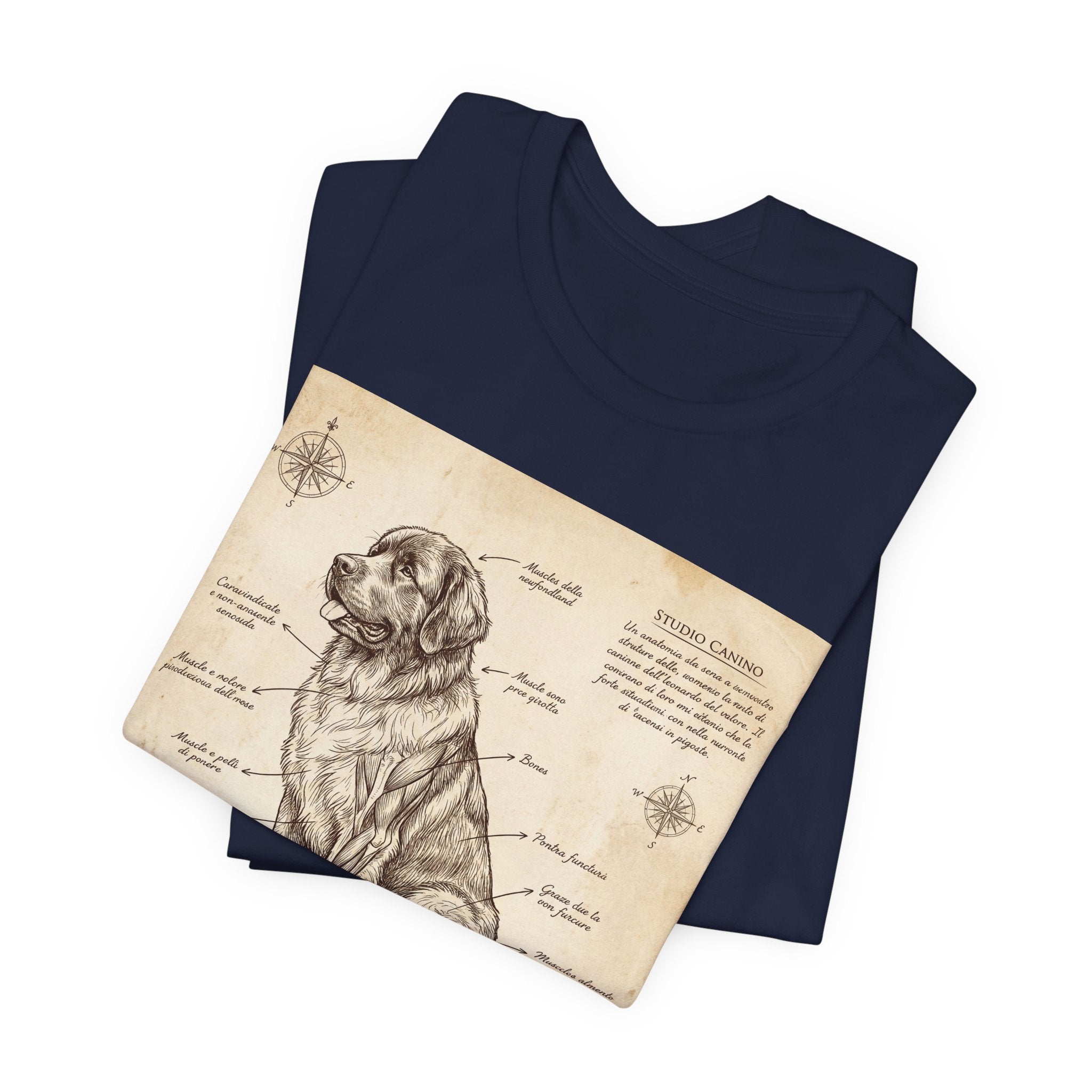 Da Vinci Style Newfoundland T-Shirt — Sepia Anatomical Study Art Print