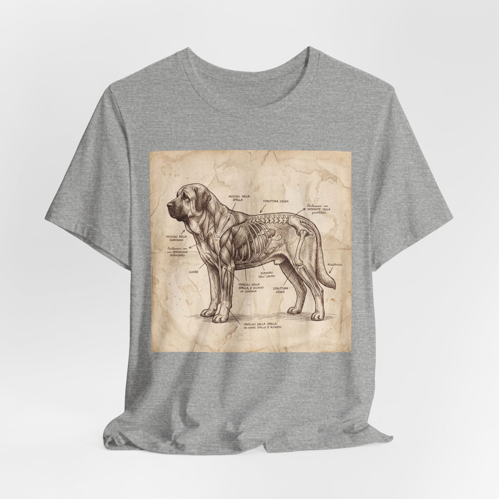 Da Vinci Style Spanish Mastiff T-Shirt — Anatomical Parchment Art Print