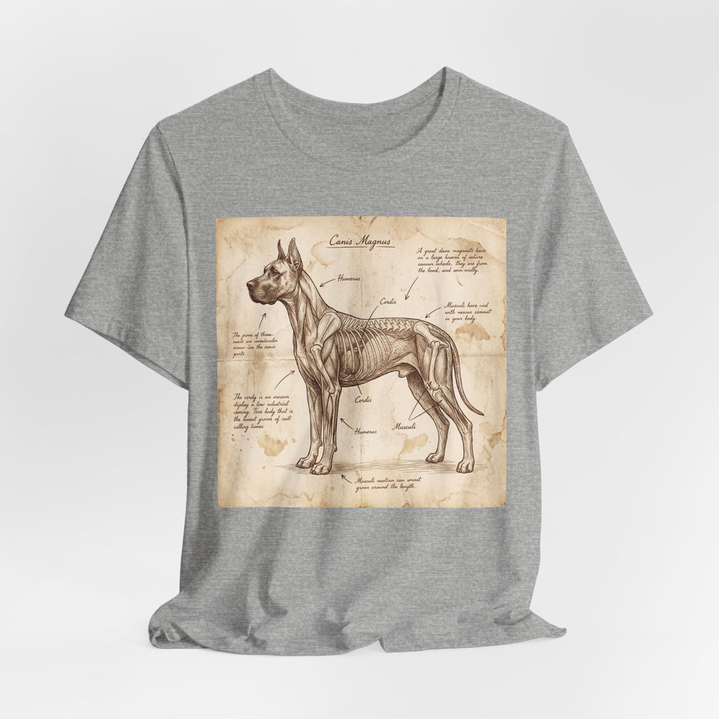 Da Vinci Style Great Dane T-Shirt — Anatomical Parchment Art Print