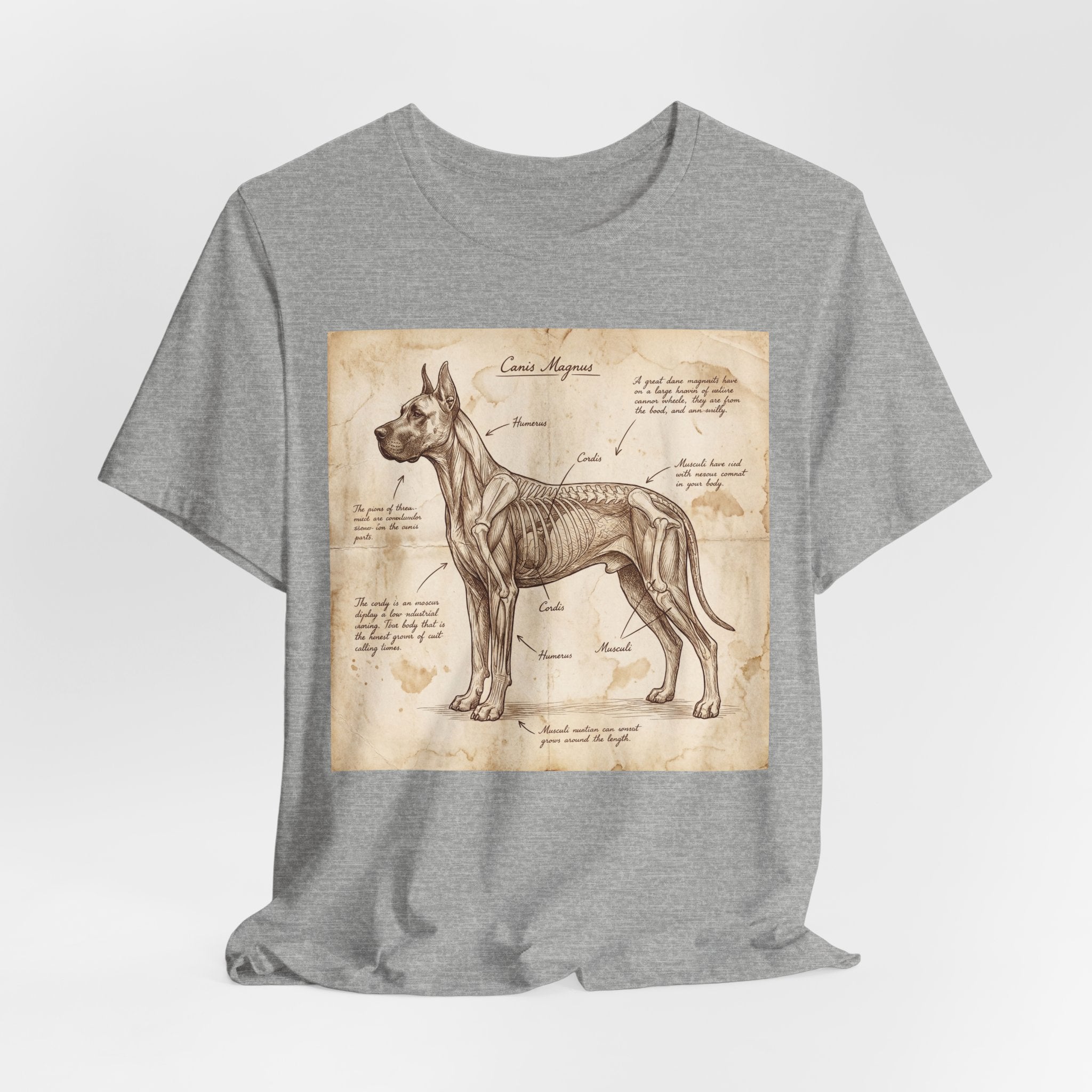 Da Vinci Style Great Dane T-Shirt — Anatomical Parchment Art Print
