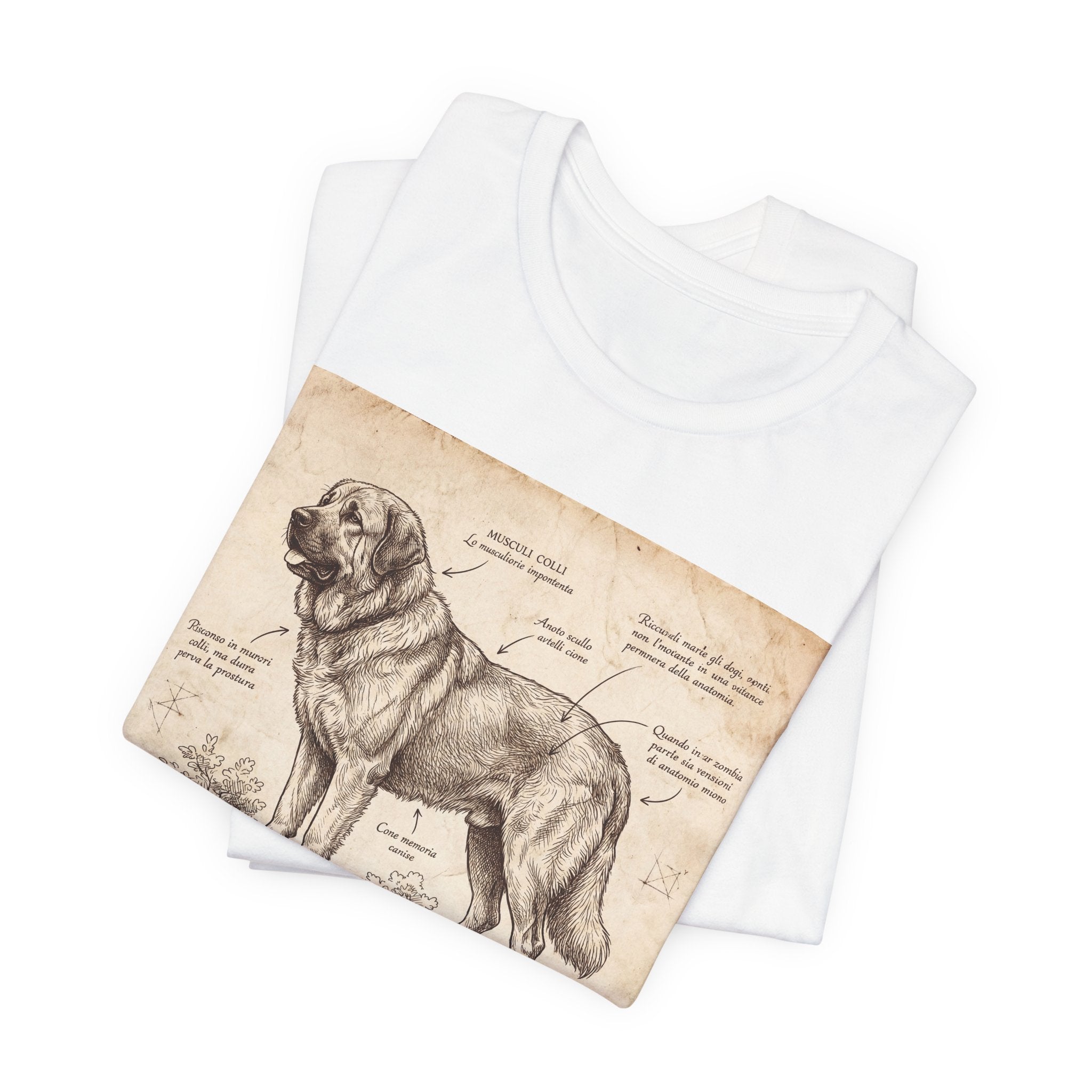Anatomical Sketch Spanish Mastiff T-Shirt — Parchment Study Art Print