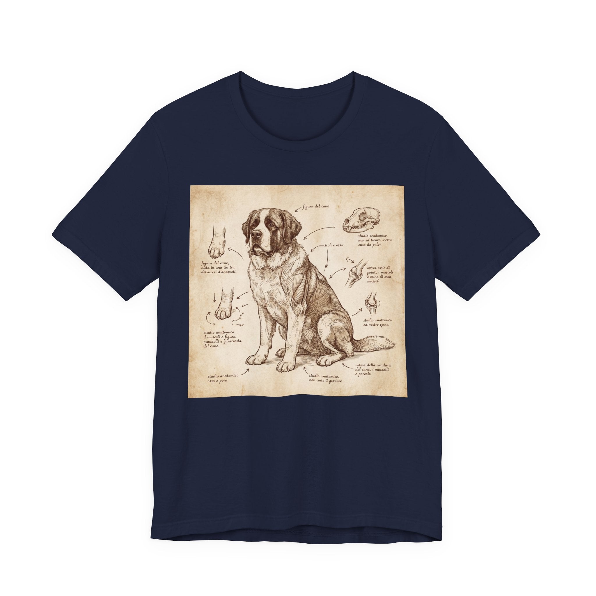 Da Vinci Style Saint Bernard T-Shirt — Anatomical Sketch Art Print