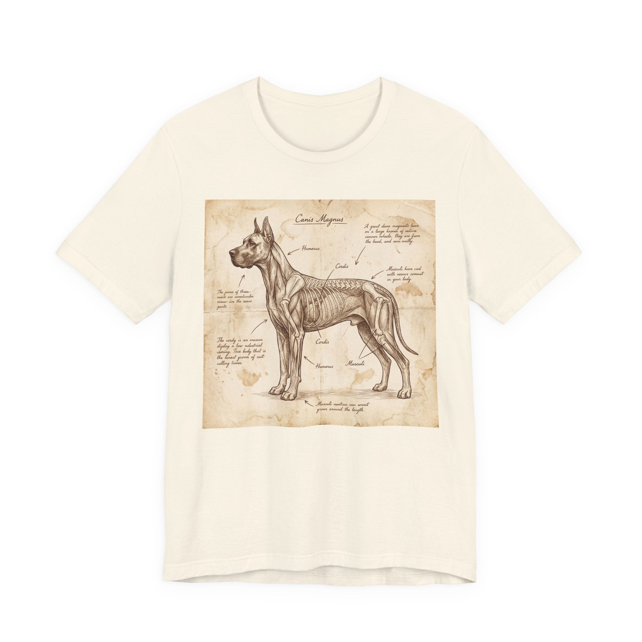 Da Vinci Style Great Dane T-Shirt — Anatomical Parchment Art Print