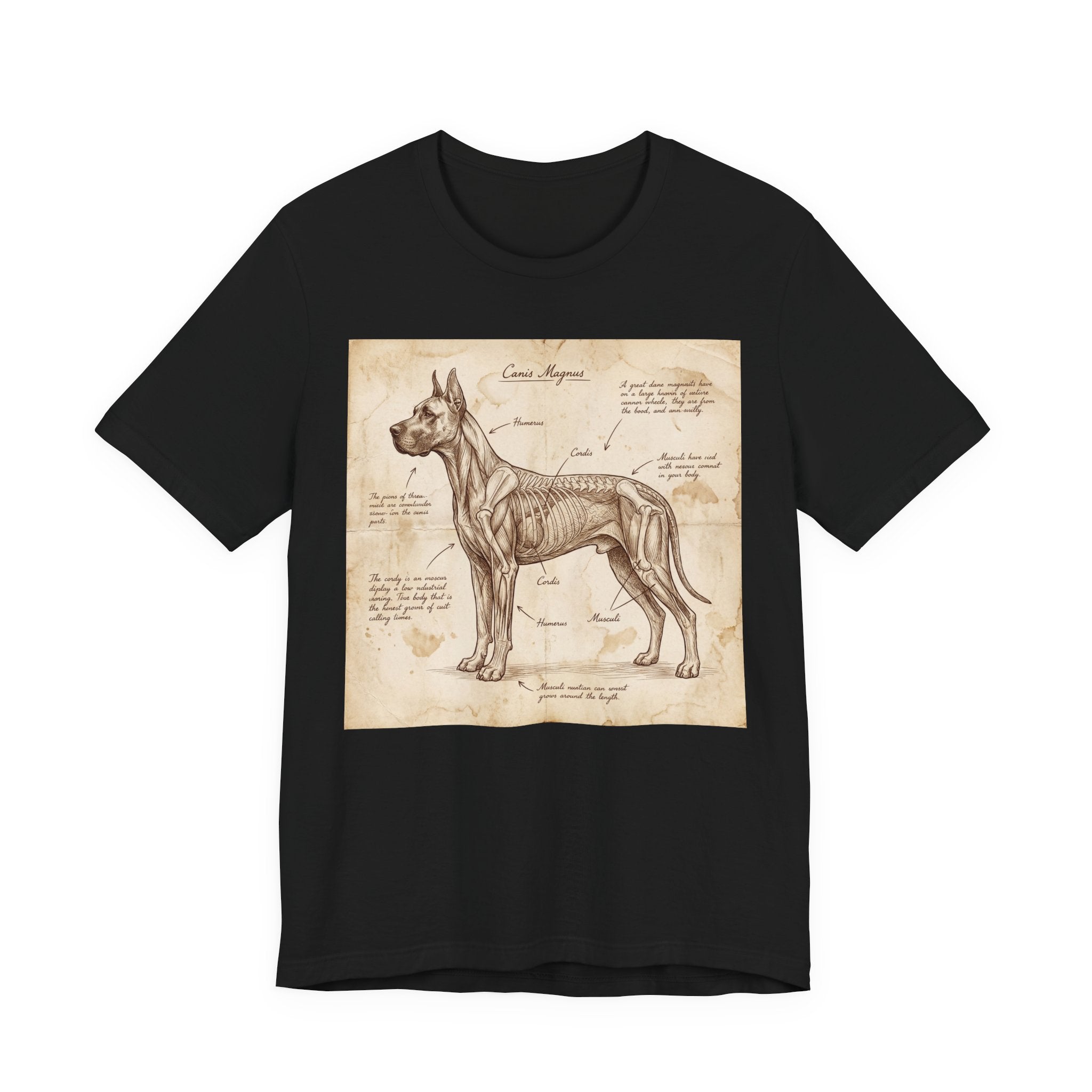 Da Vinci Style Great Dane T-Shirt — Anatomical Parchment Art Print
