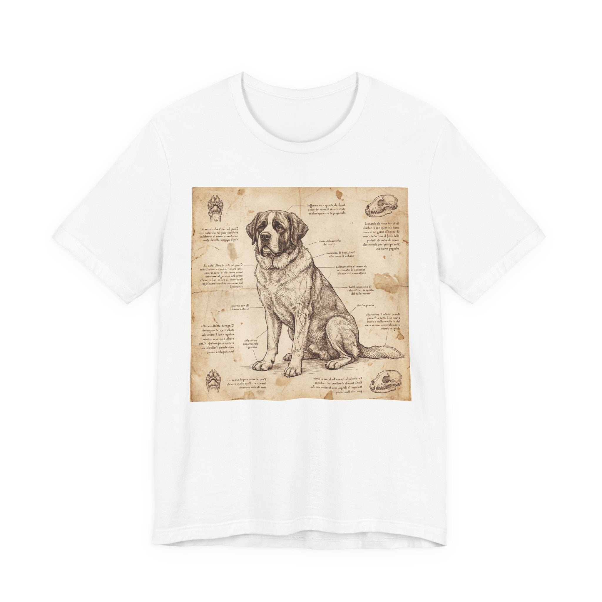 Da Vinci Style Saint Bernard T-Shirt — Anatomical Blueprint Art Print