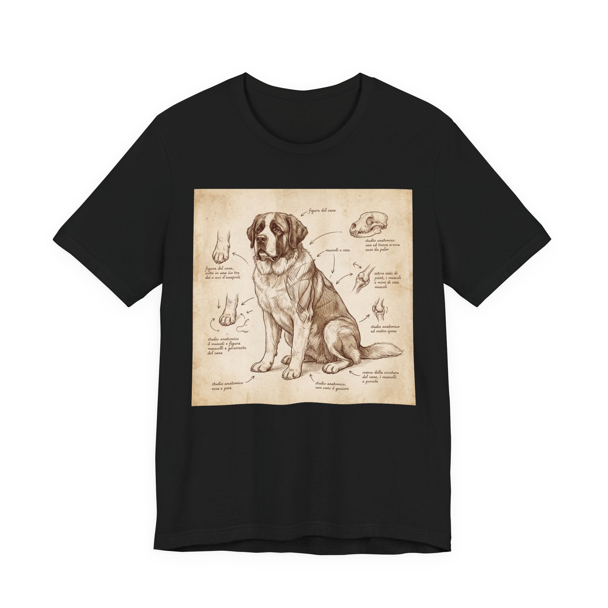 Anatomical Study Saint Bernard T-Shirt — Da Vinci Sketch Art Print