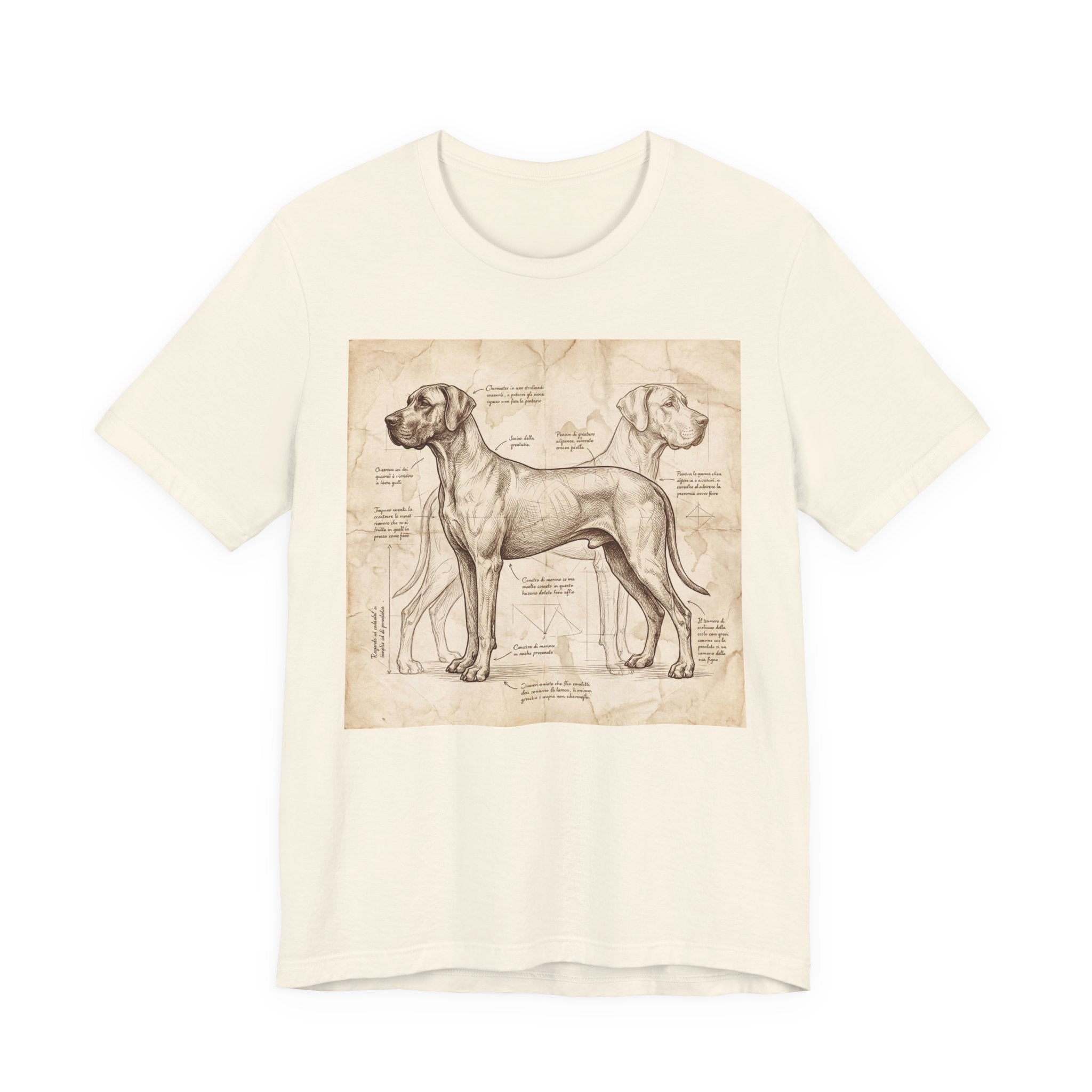 Da Vinci Style Great Dane T-Shirt — Anatomical Blueprint Art Print