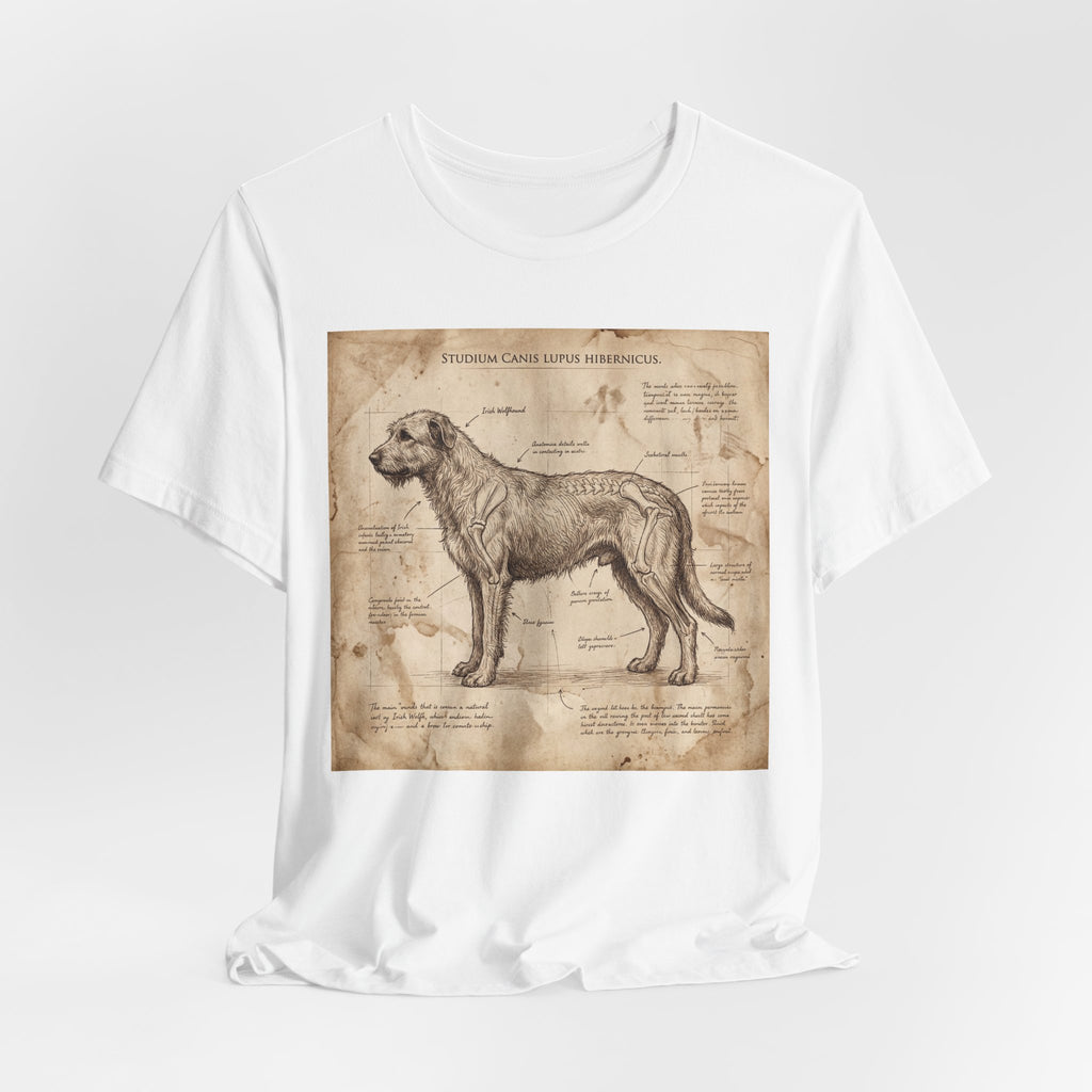 Da Vinci Study Irish Wolfhound T-Shirt — Aged Parchment Art Print