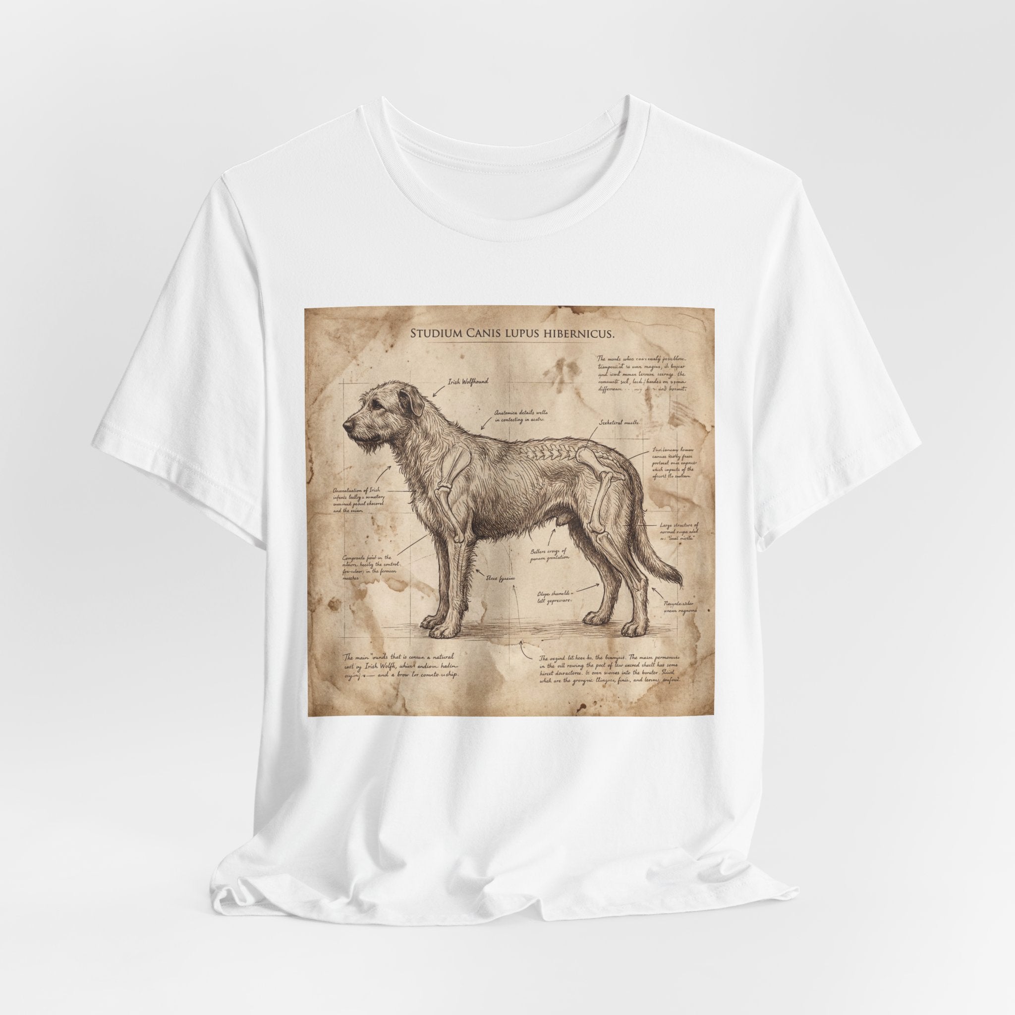 Da Vinci Study Irish Wolfhound T-Shirt — Aged Parchment Art Print