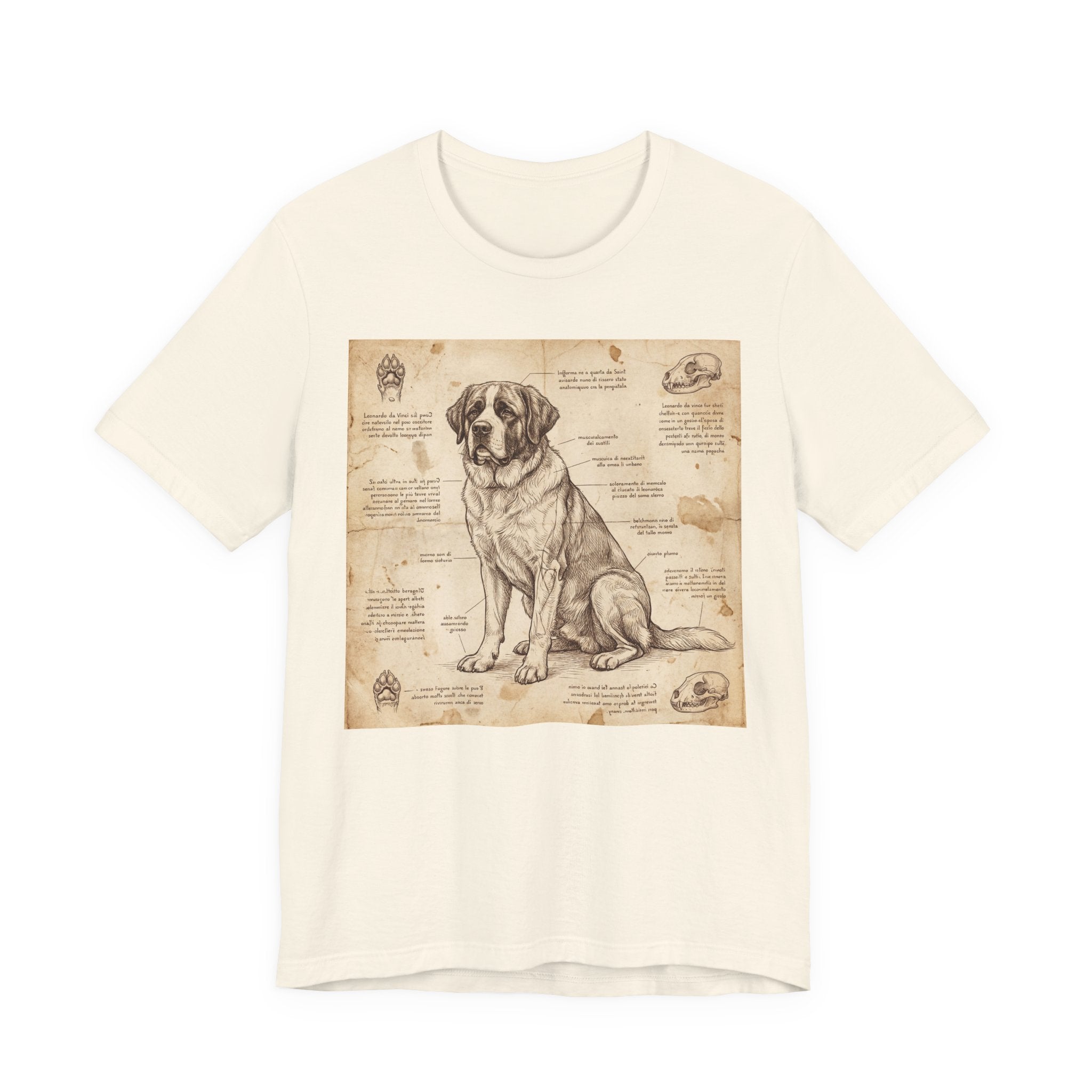 Da Vinci Style Saint Bernard T-Shirt — Anatomical Blueprint Art Print