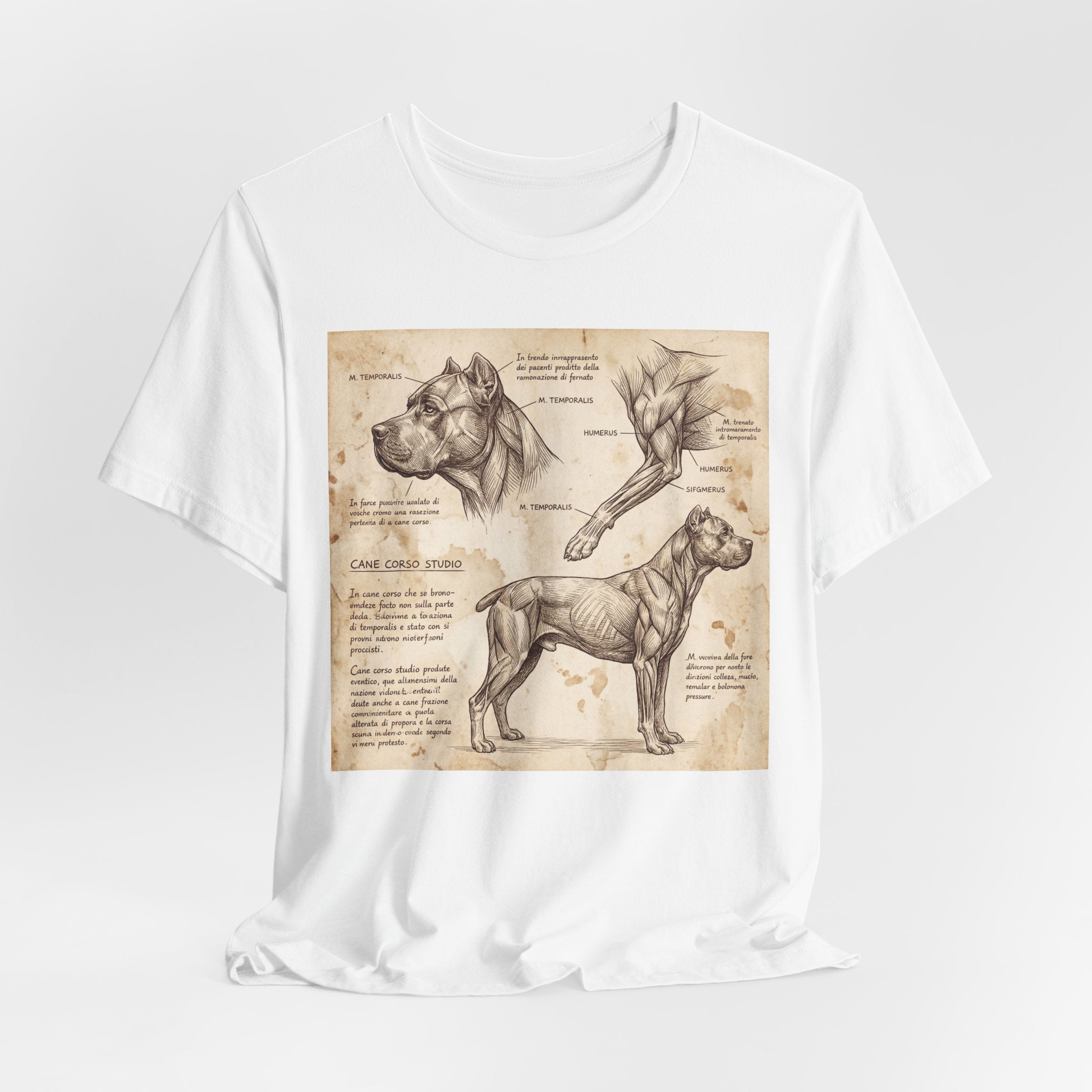 Da Vinci Style Cane Corso T-Shirt — Anatomical Study Art Print