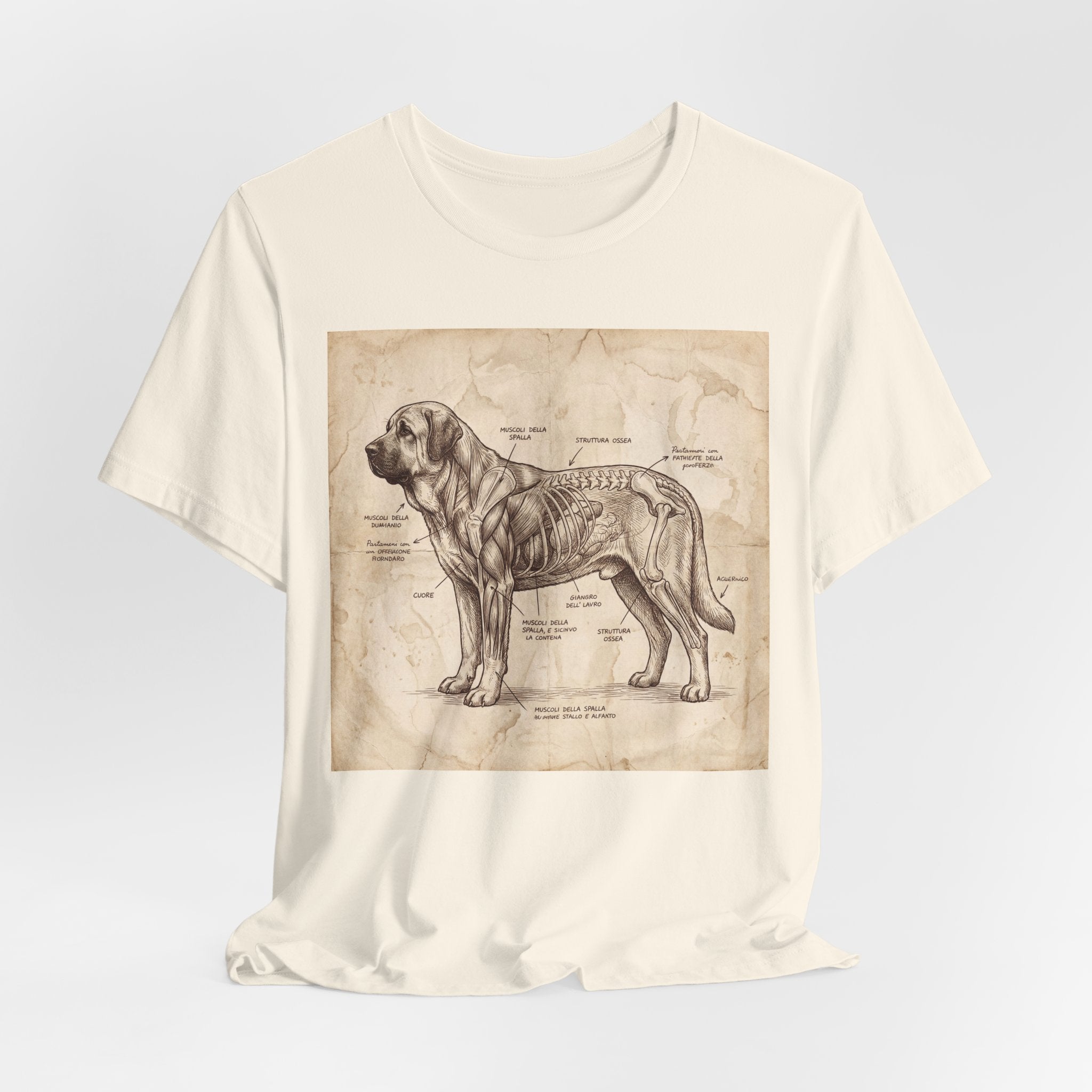 Da Vinci Style Spanish Mastiff T-Shirt — Anatomical Parchment Art Print