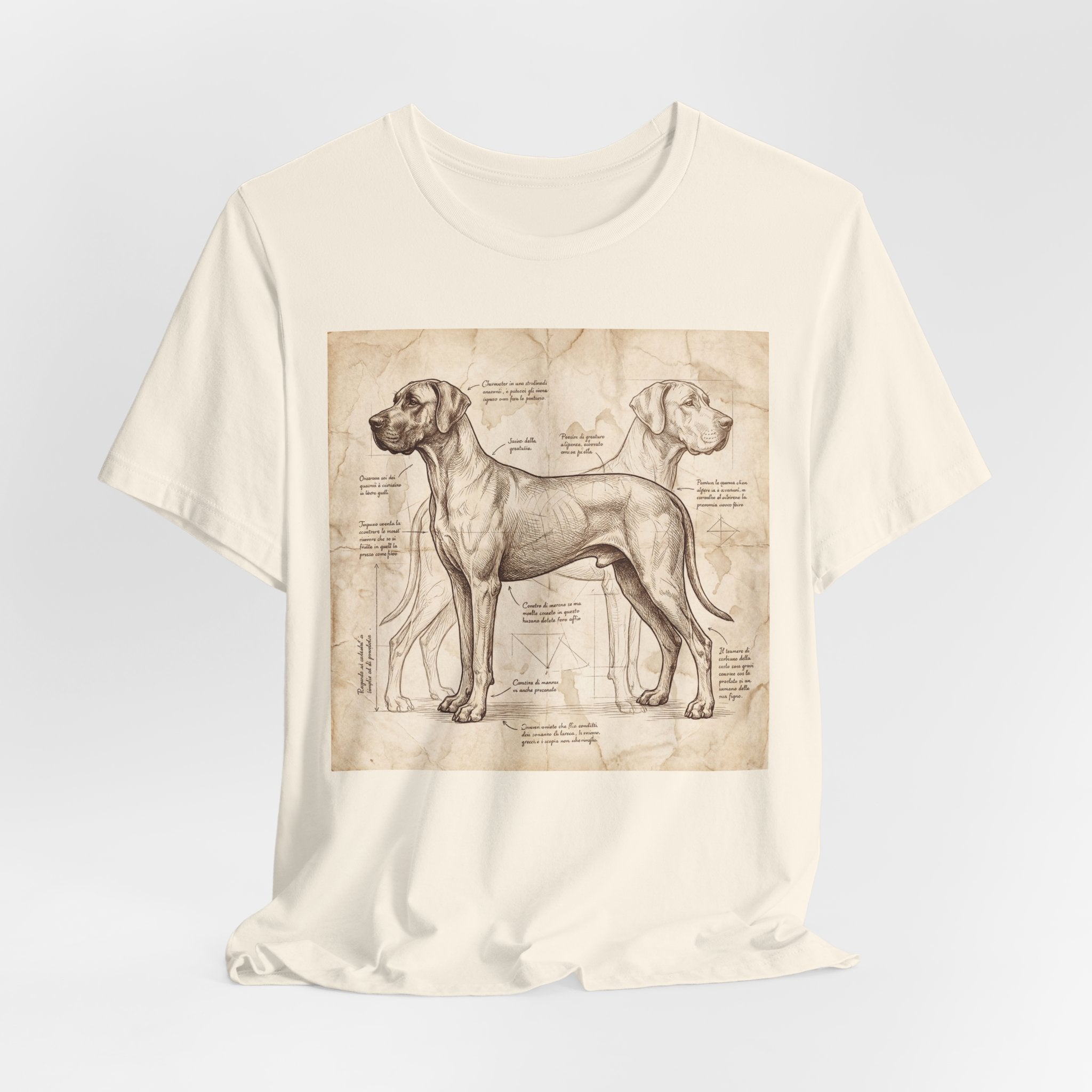 Da Vinci Style Great Dane T-Shirt — Anatomical Blueprint Art Print