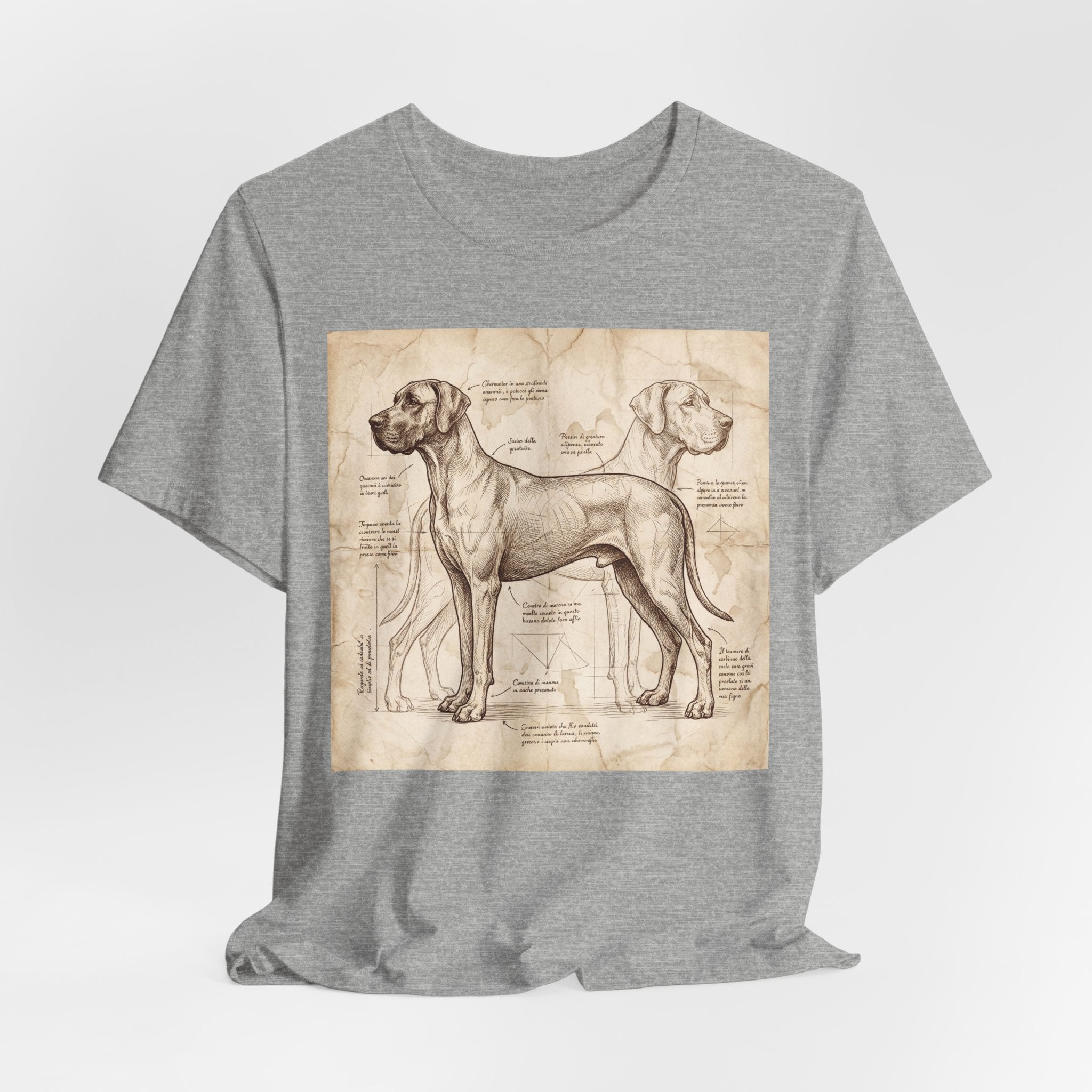 Da Vinci Style Great Dane T-Shirt — Anatomical Blueprint Art Print